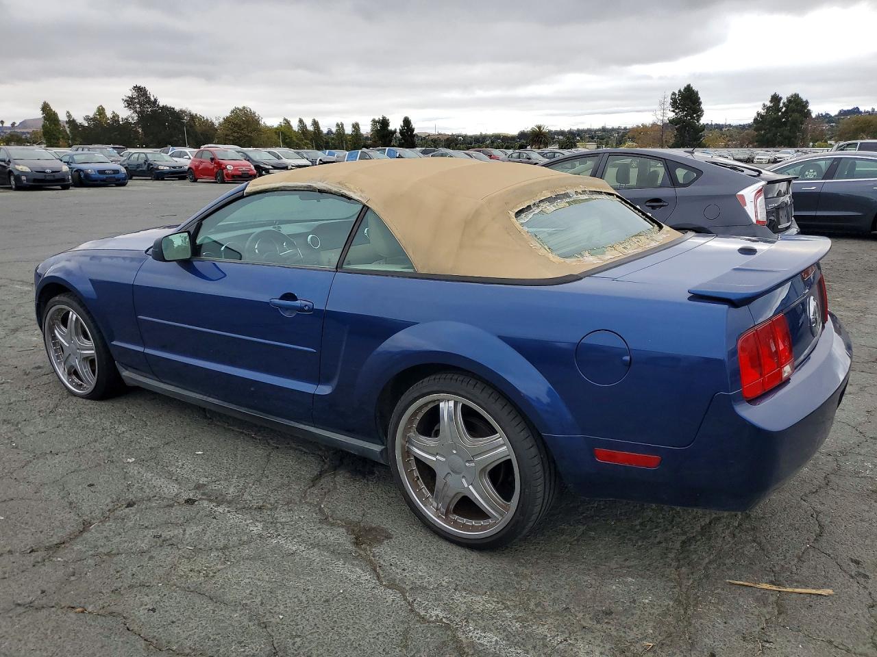 2008 Ford Mustang Blue vin: 1ZVHT84N385204835