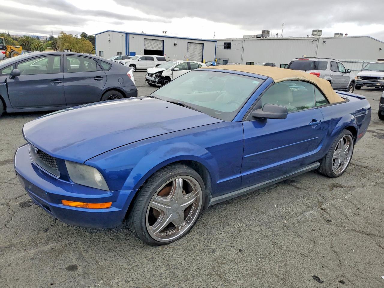 2008 Ford Mustang Blue vin: 1ZVHT84N385204835