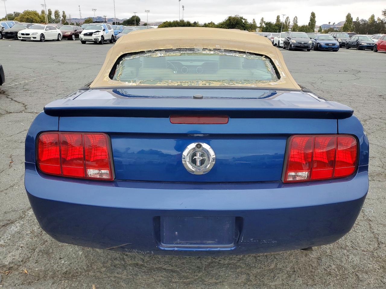 2008 Ford Mustang Blue vin: 1ZVHT84N385204835