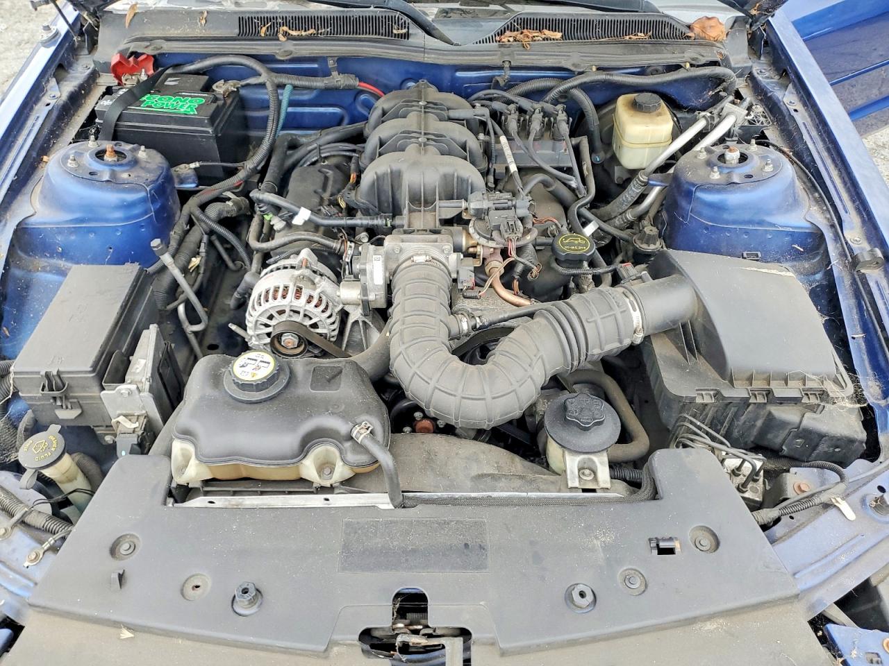 2008 Ford Mustang Blue vin: 1ZVHT84N385204835