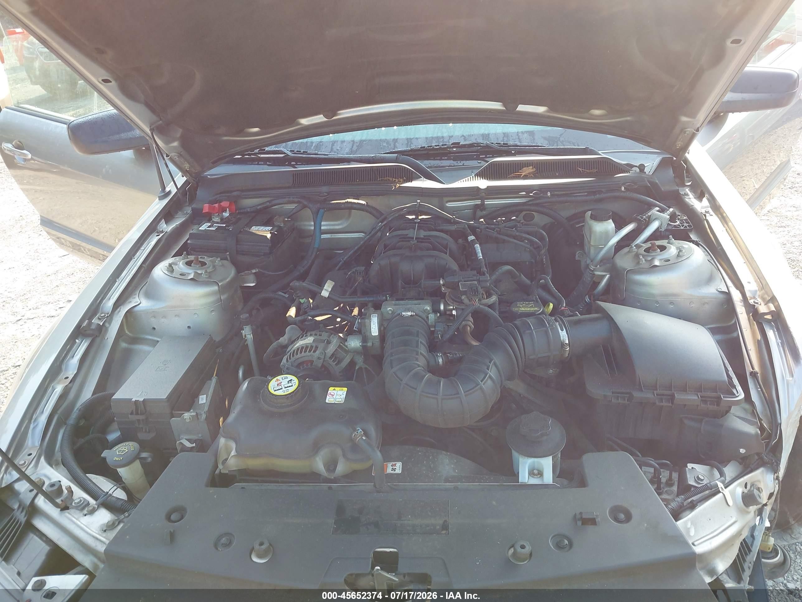 2009 Ford Mustang V6/v6 Premium Серый vin: 1ZVHT84N395108706