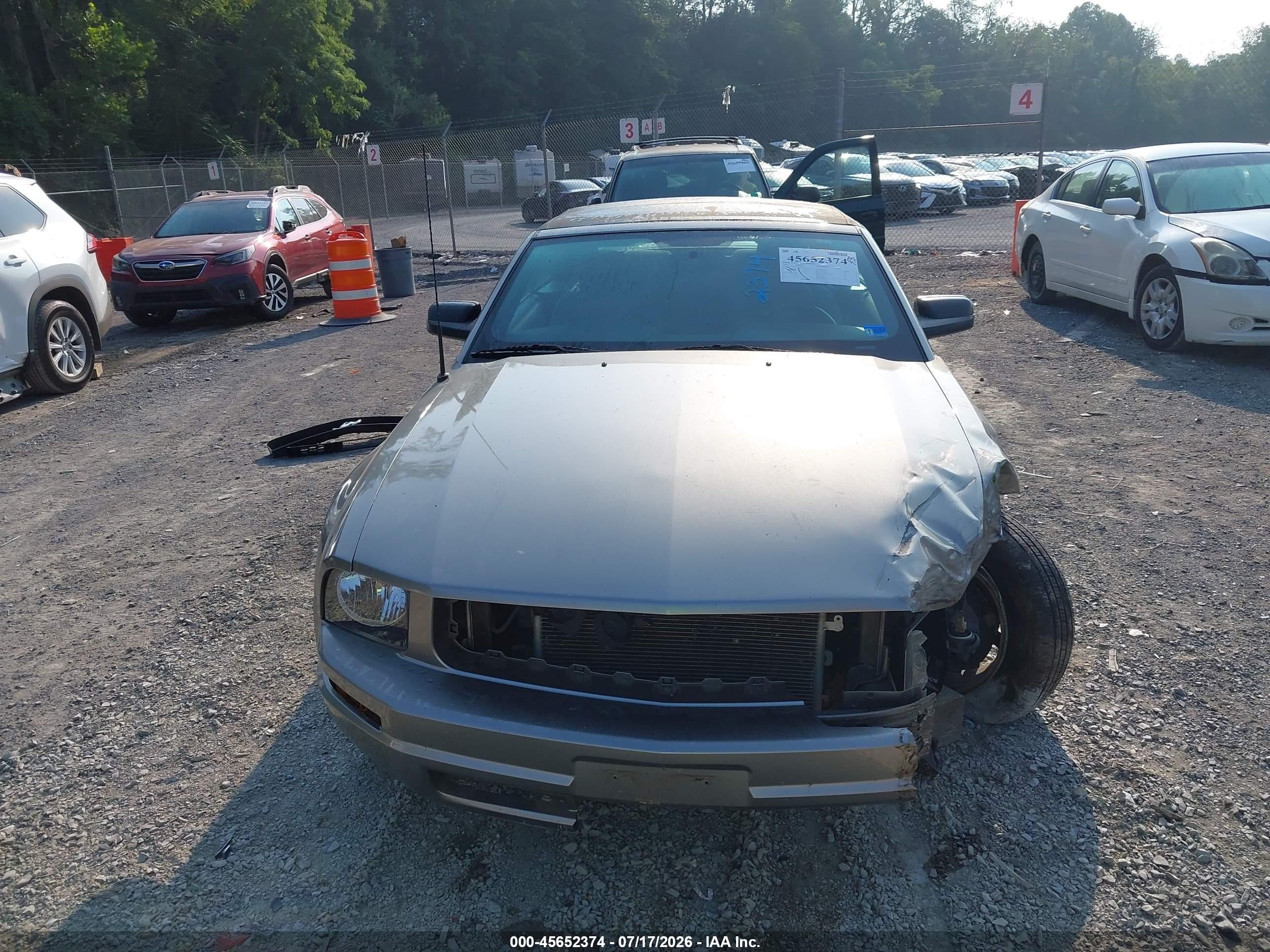 2009 Ford Mustang V6/v6 Premium Серый vin: 1ZVHT84N395108706