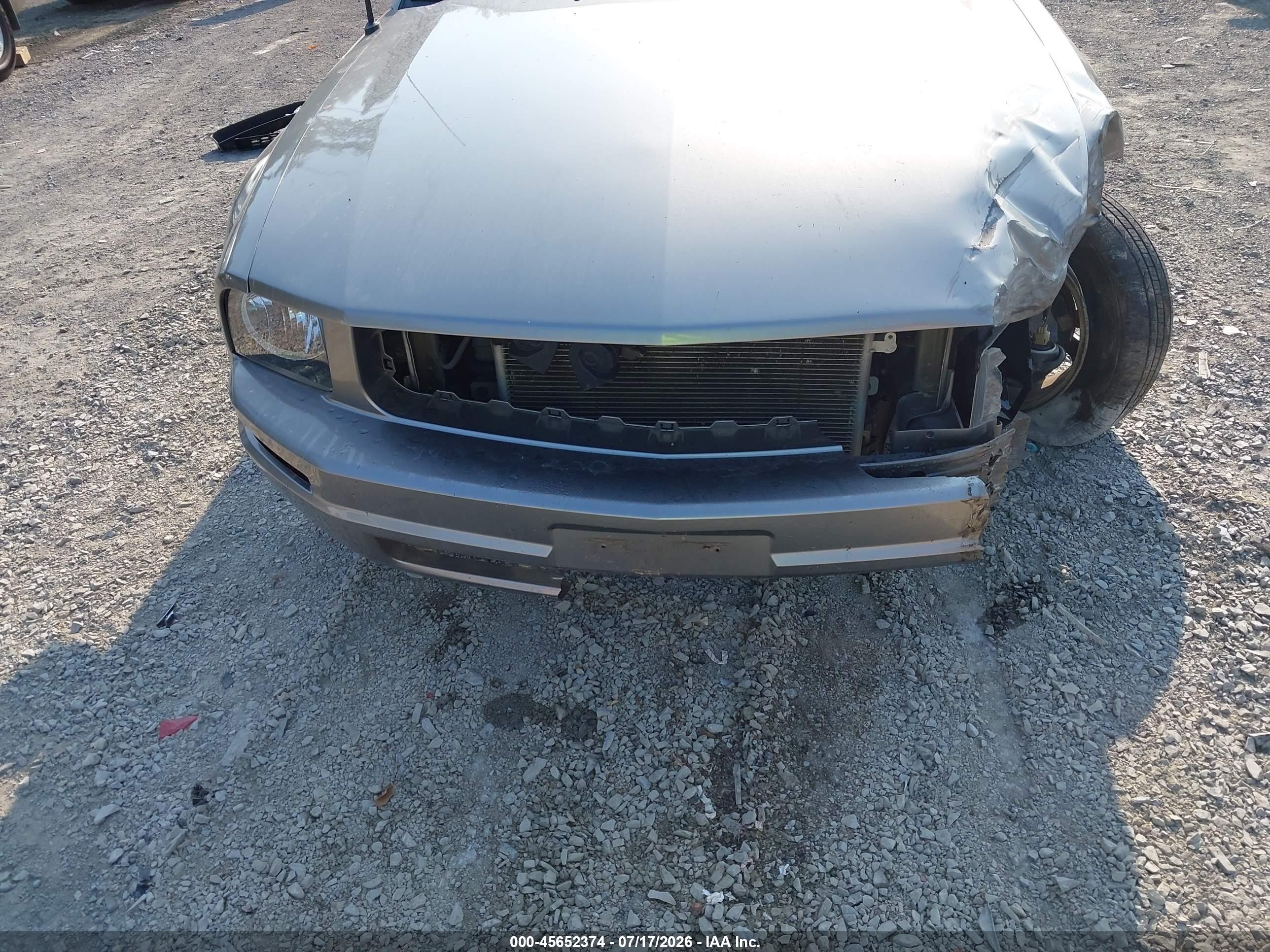 2009 Ford Mustang V6/v6 Premium Серый vin: 1ZVHT84N395108706