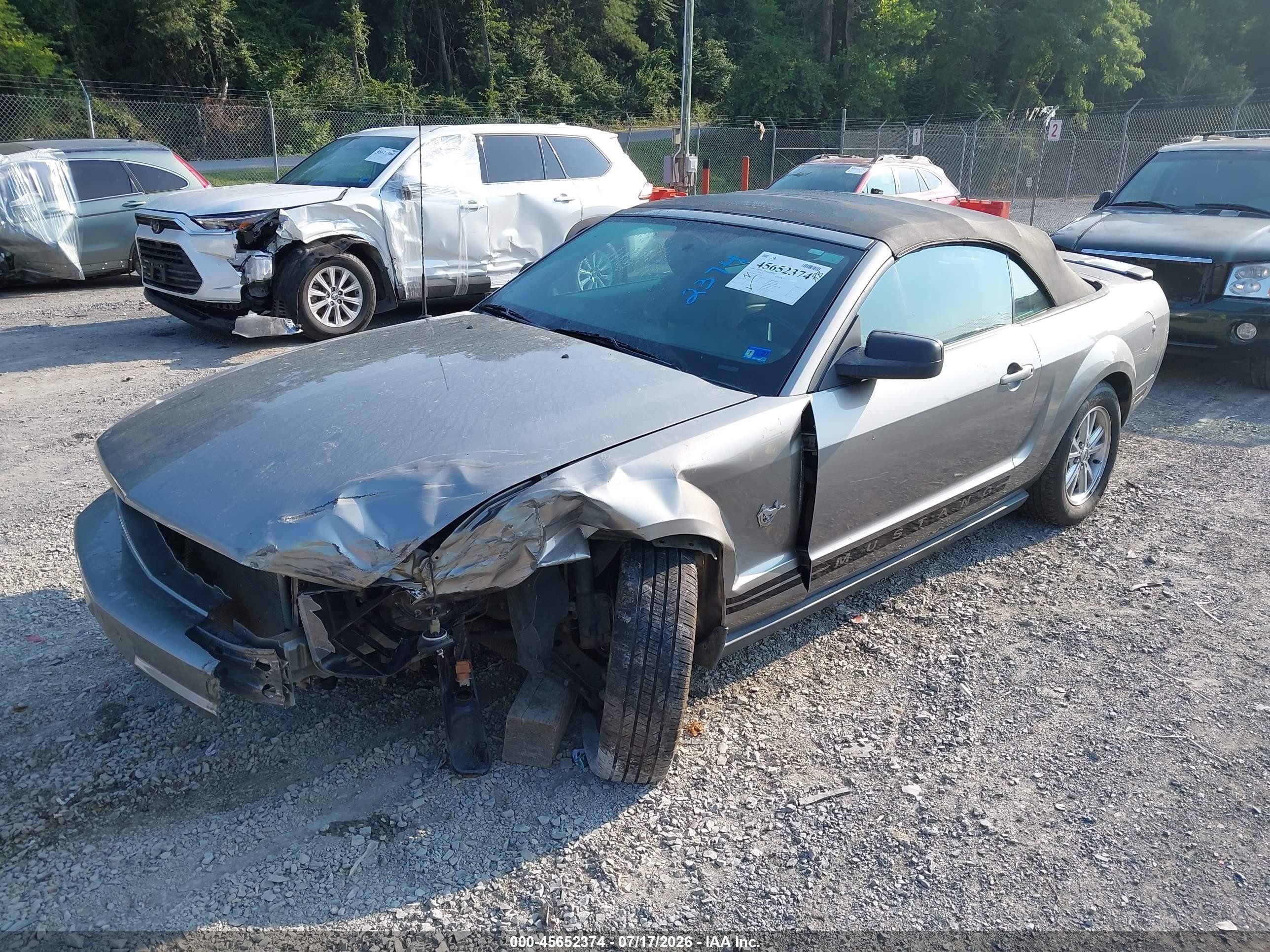 2009 Ford Mustang V6/v6 Premium Серый vin: 1ZVHT84N395108706