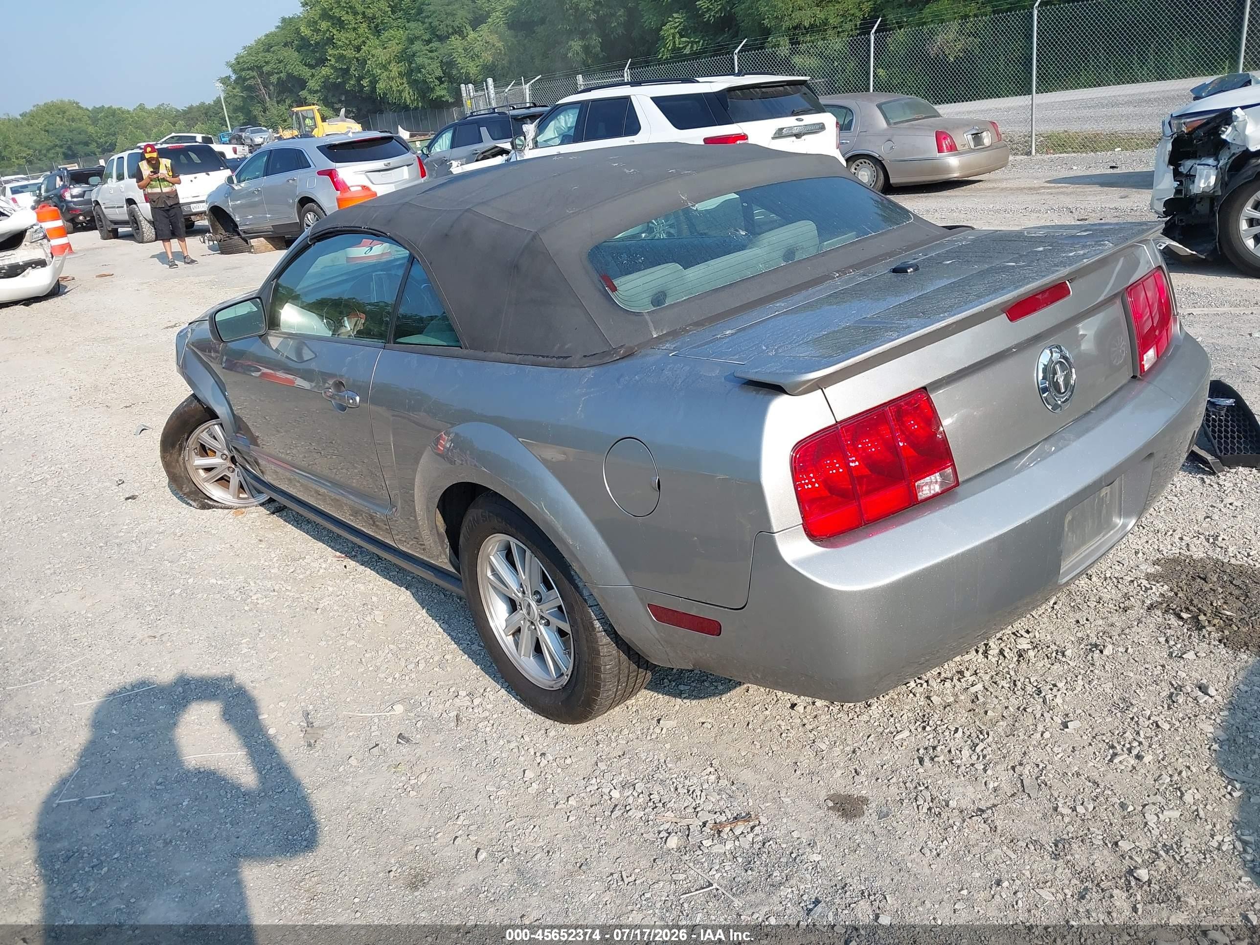 2009 Ford Mustang V6/v6 Premium Серый vin: 1ZVHT84N395108706