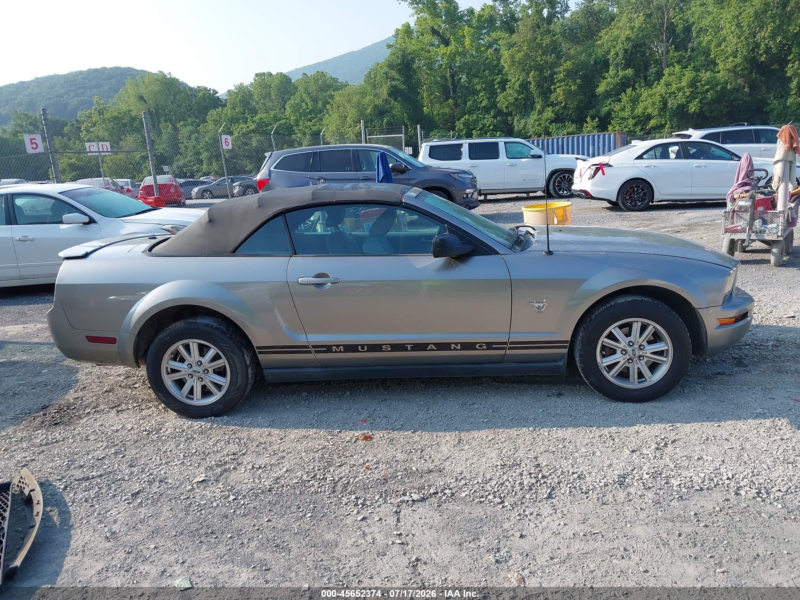 2009 Ford Mustang V6/v6 Premium Серый vin: 1ZVHT84N395108706