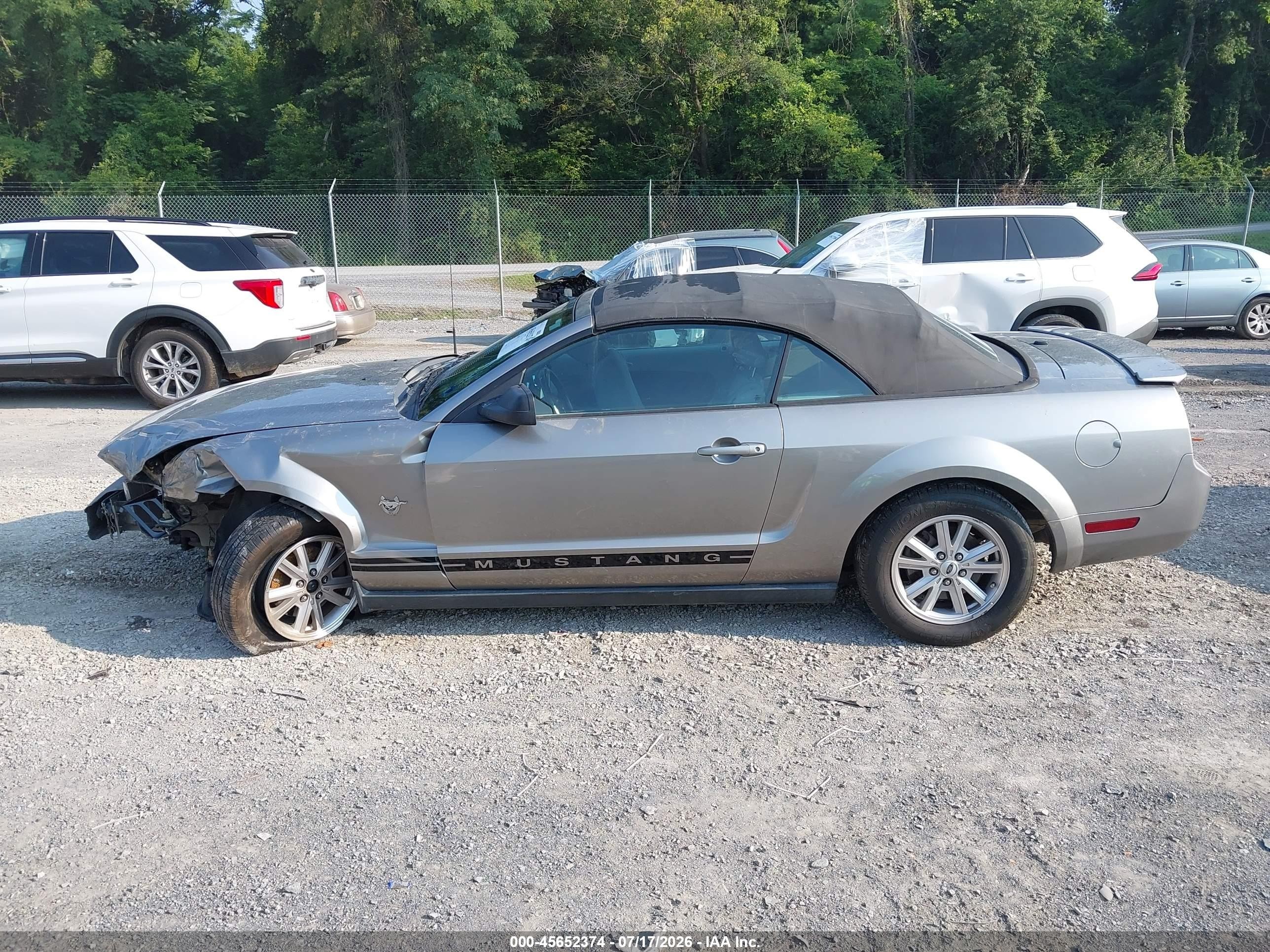2009 Ford Mustang V6/v6 Premium Серый vin: 1ZVHT84N395108706