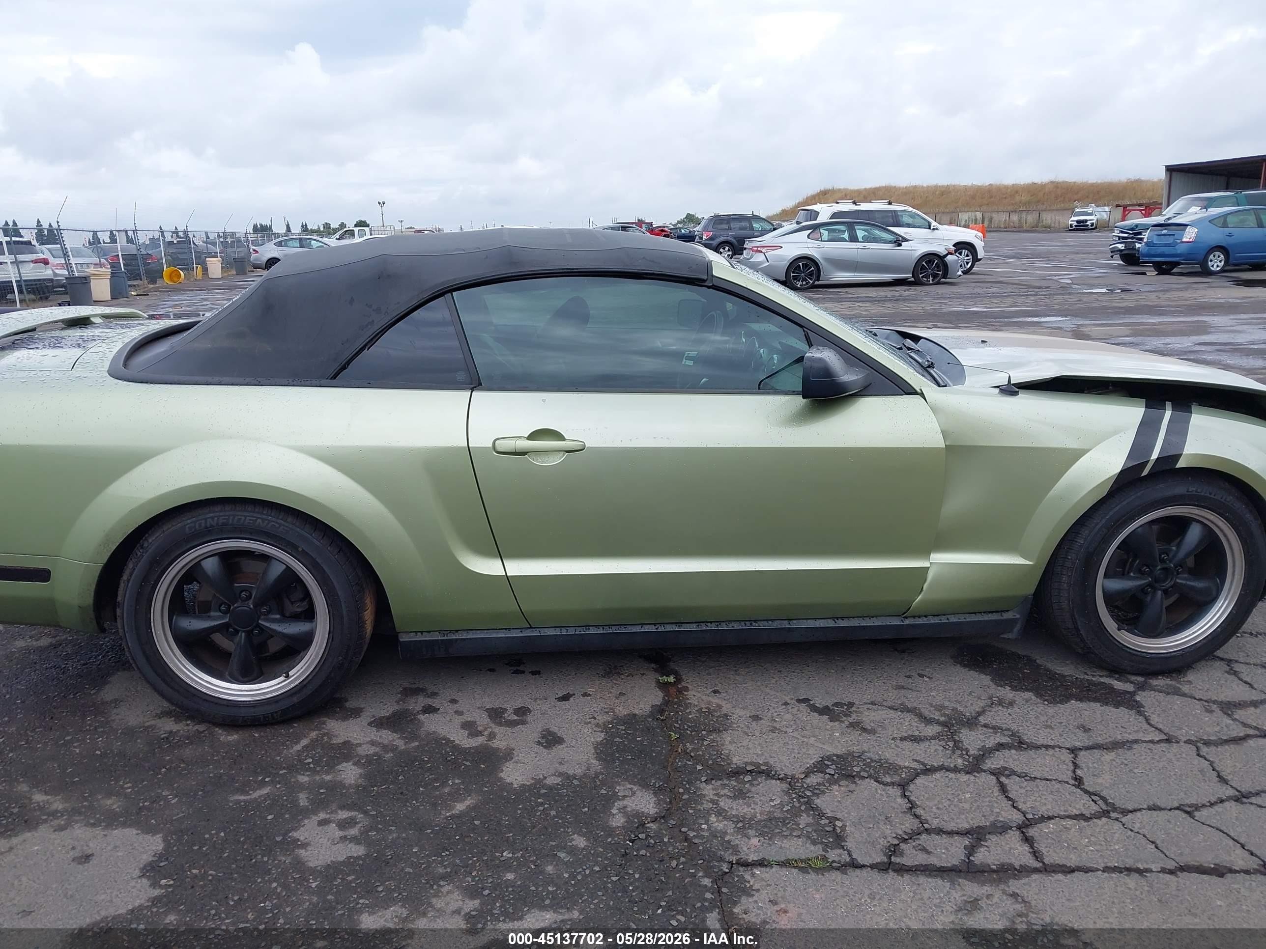 2005 Ford Mustang   Green vin: 1ZVHT84N455198877
