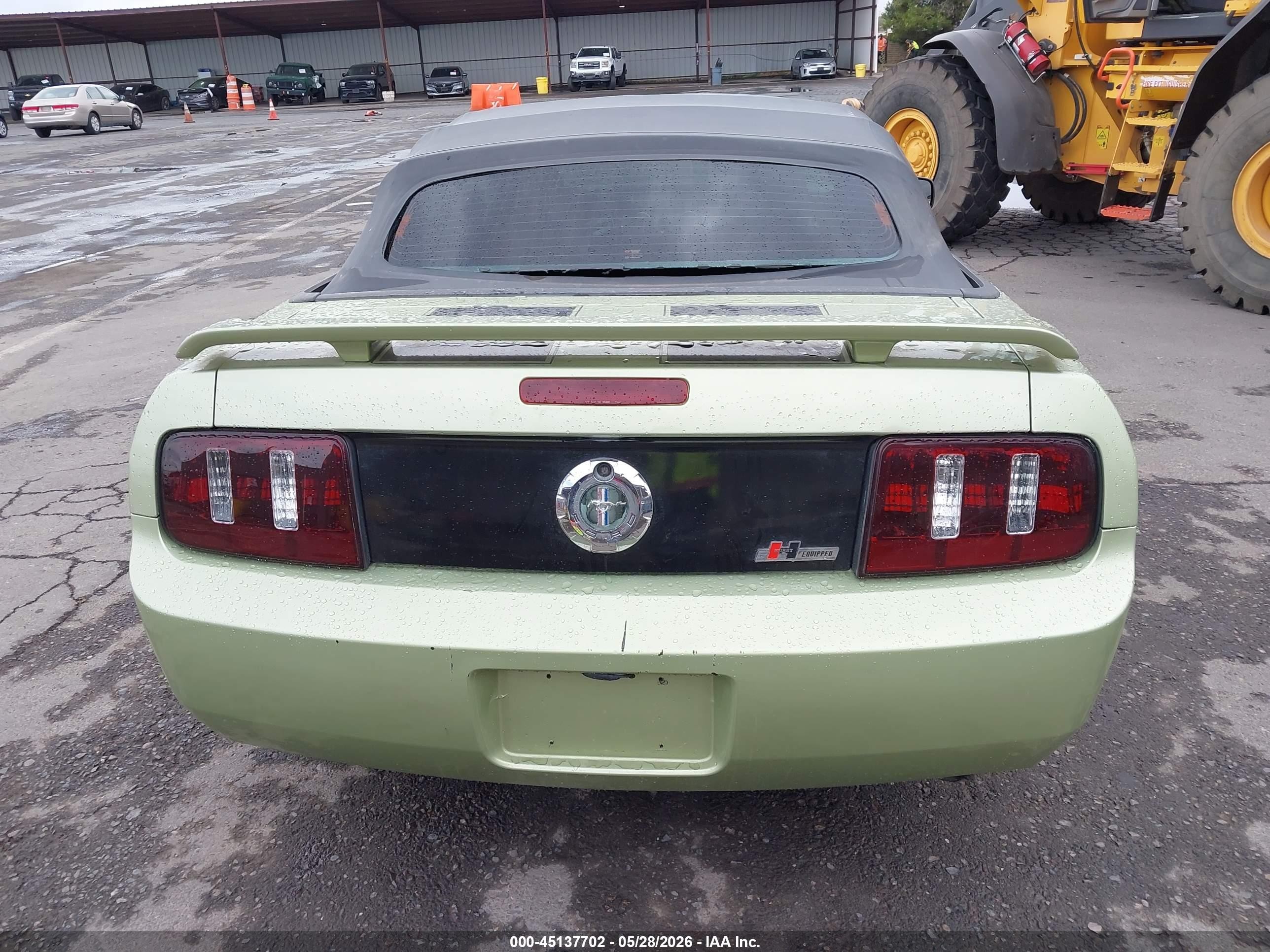 2005 Ford Mustang   Green vin: 1ZVHT84N455198877