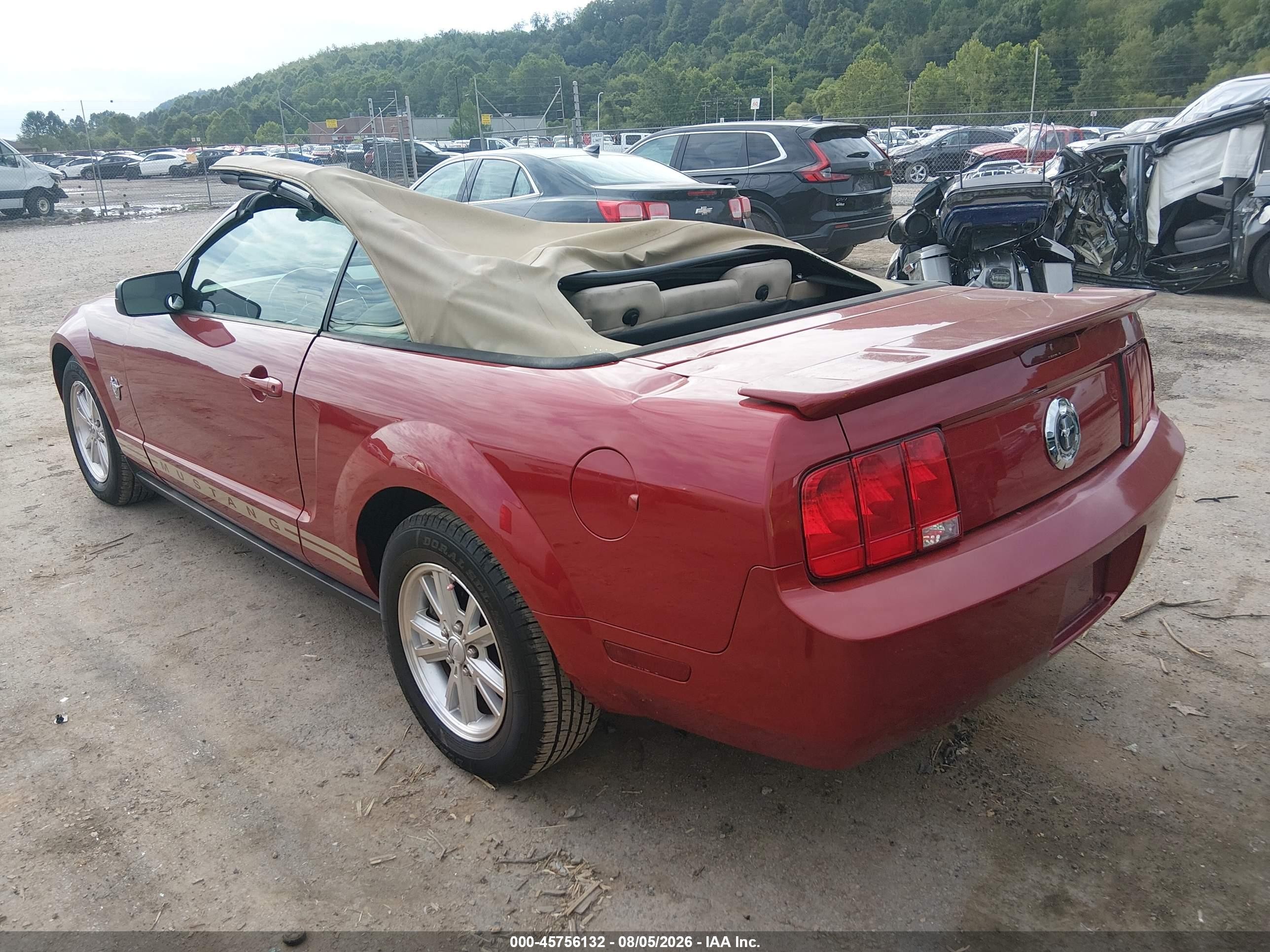2009 Ford Mustang V6/v6 Premium Red vin: 1ZVHT84N495125045