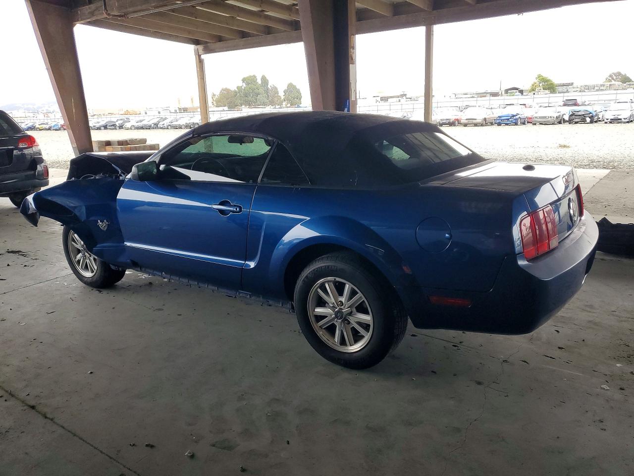 2009 Ford Mustang Blue vin: 1ZVHT84N495134568