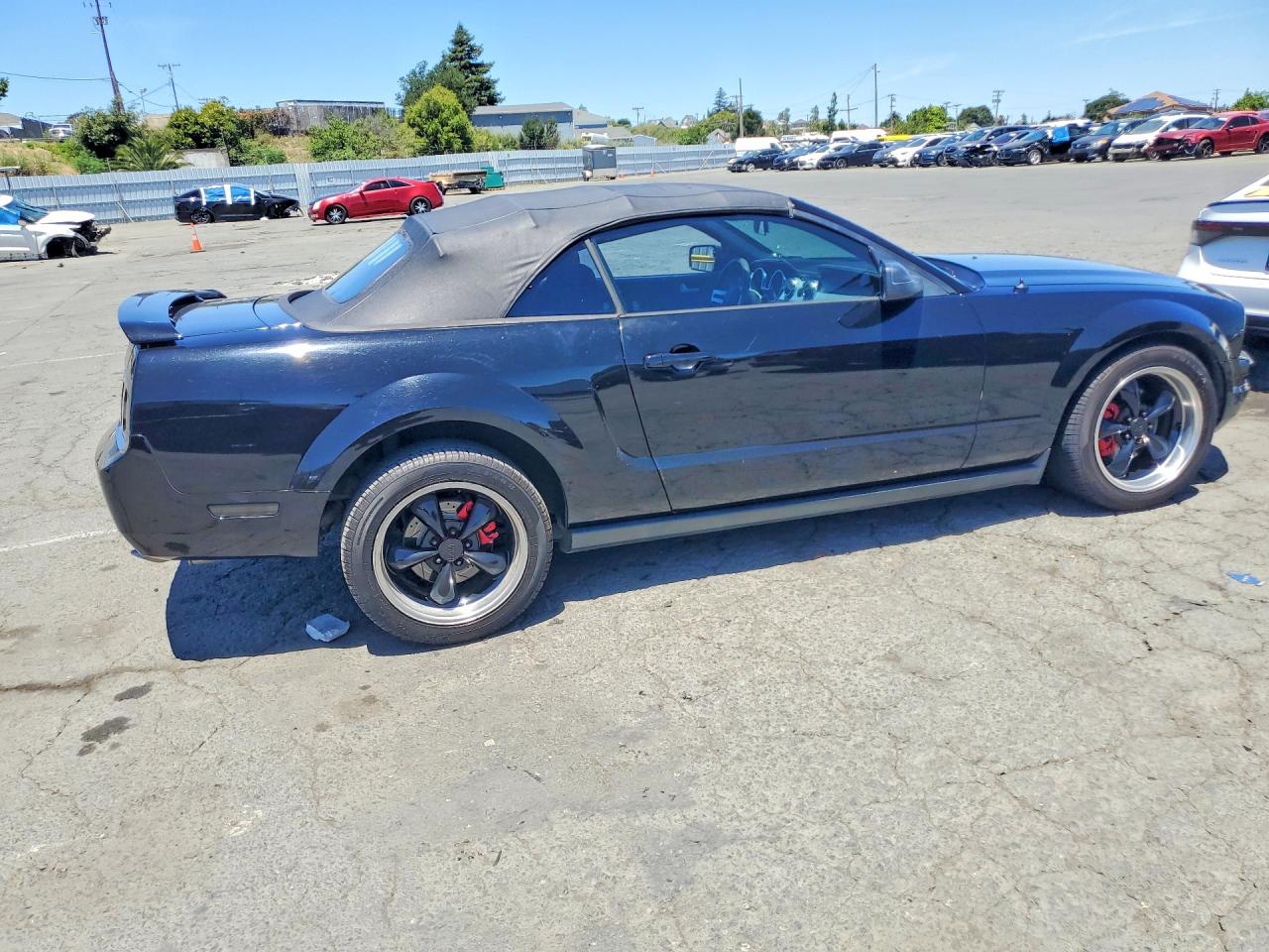 2006 Ford Mustang Black vin: 1ZVHT84N565118150