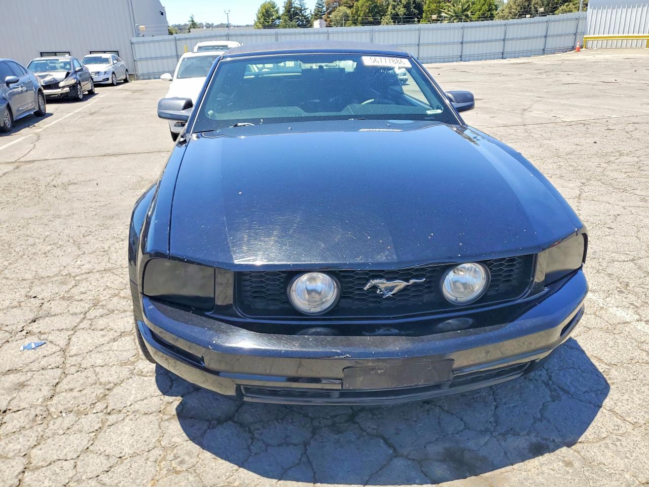 2006 Ford Mustang Black vin: 1ZVHT84N565118150