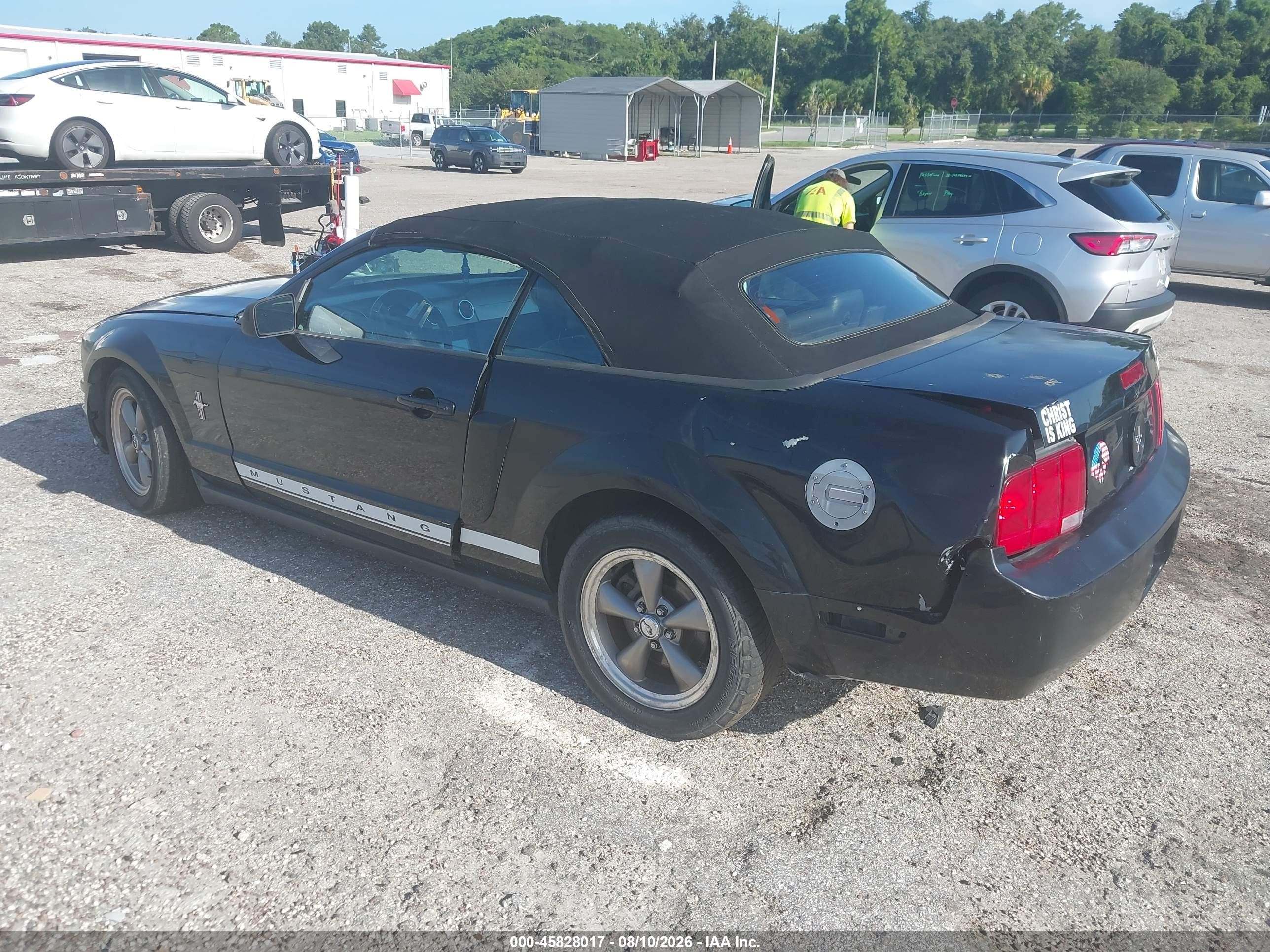 2006 Ford Mustang V6 Black vin: 1ZVHT84N565256268