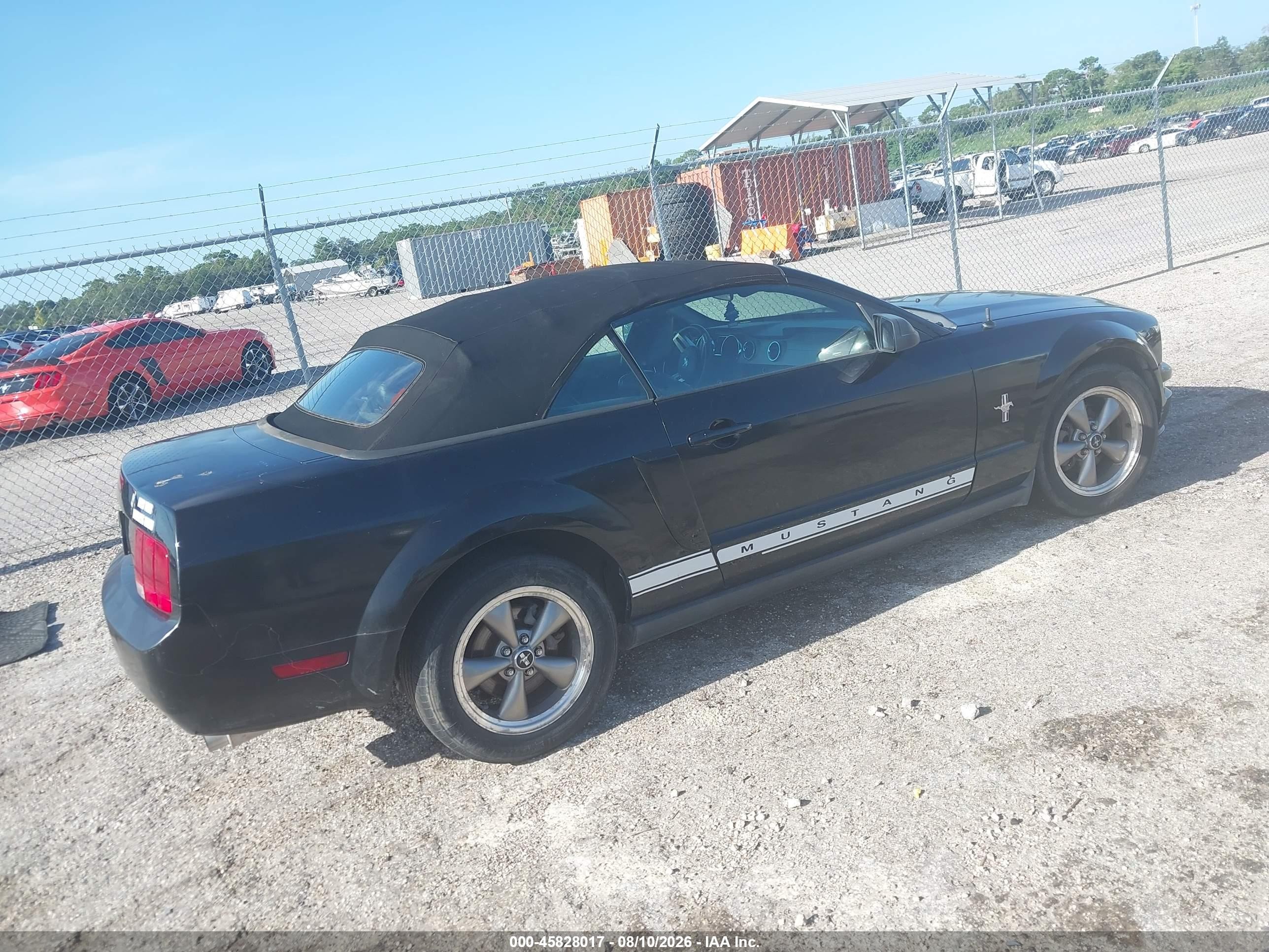 2006 Ford Mustang V6 Black vin: 1ZVHT84N565256268