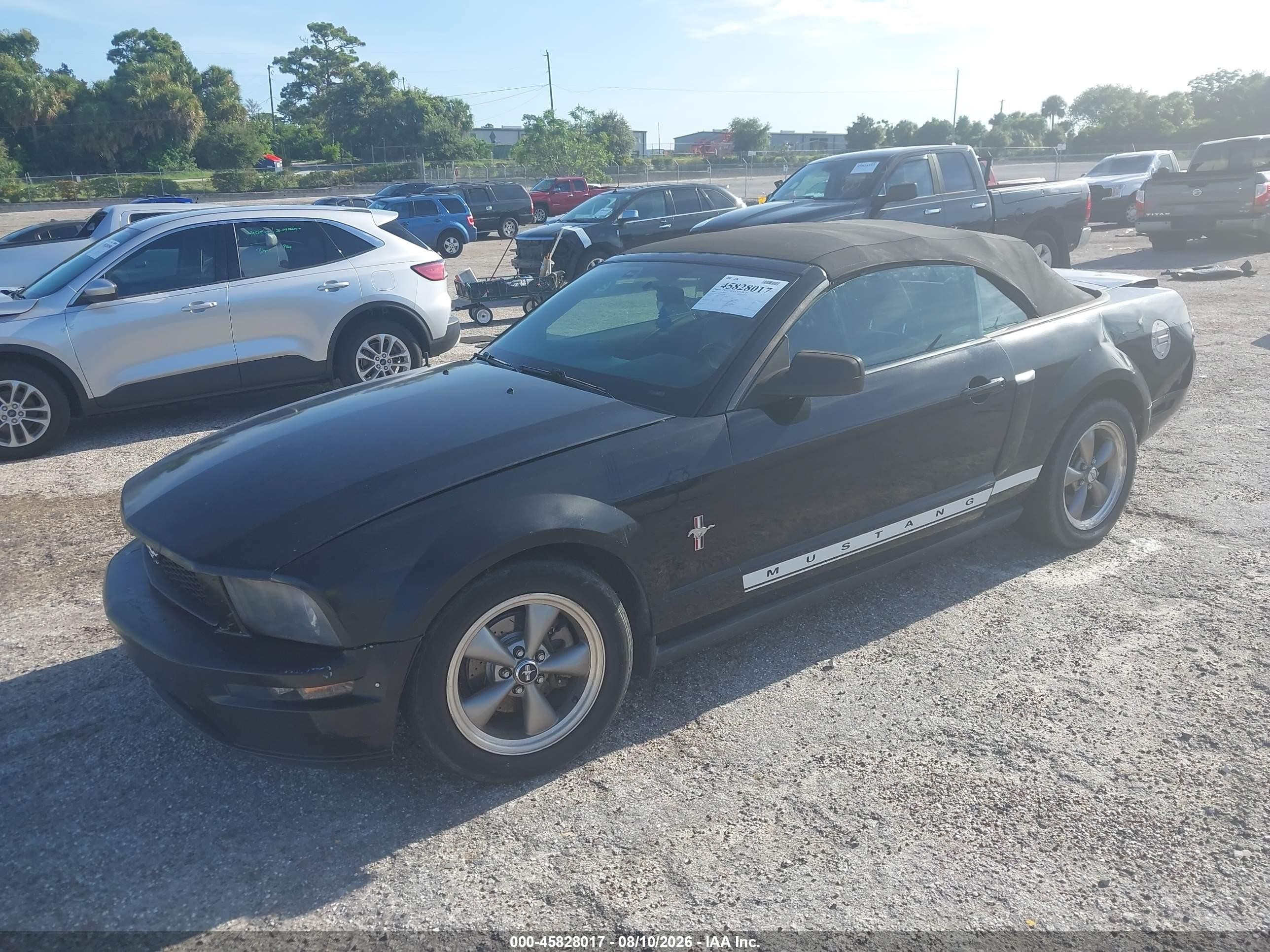 2006 Ford Mustang V6 Black vin: 1ZVHT84N565256268