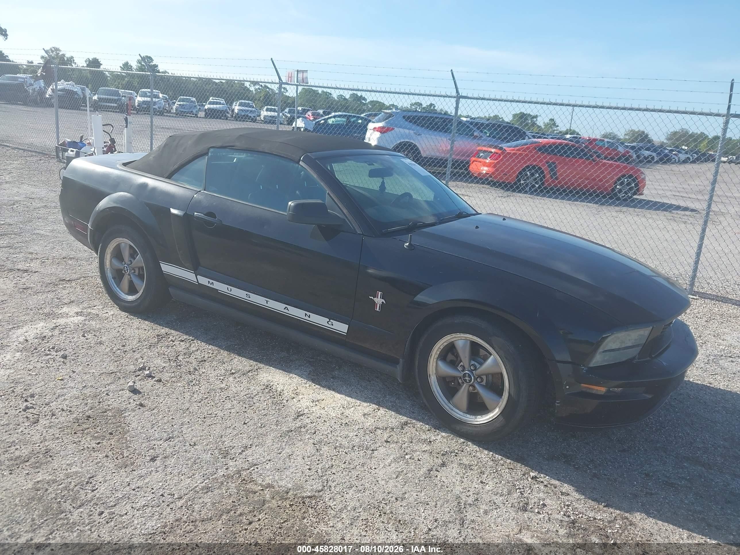 2006 Ford Mustang V6 Black vin: 1ZVHT84N565256268