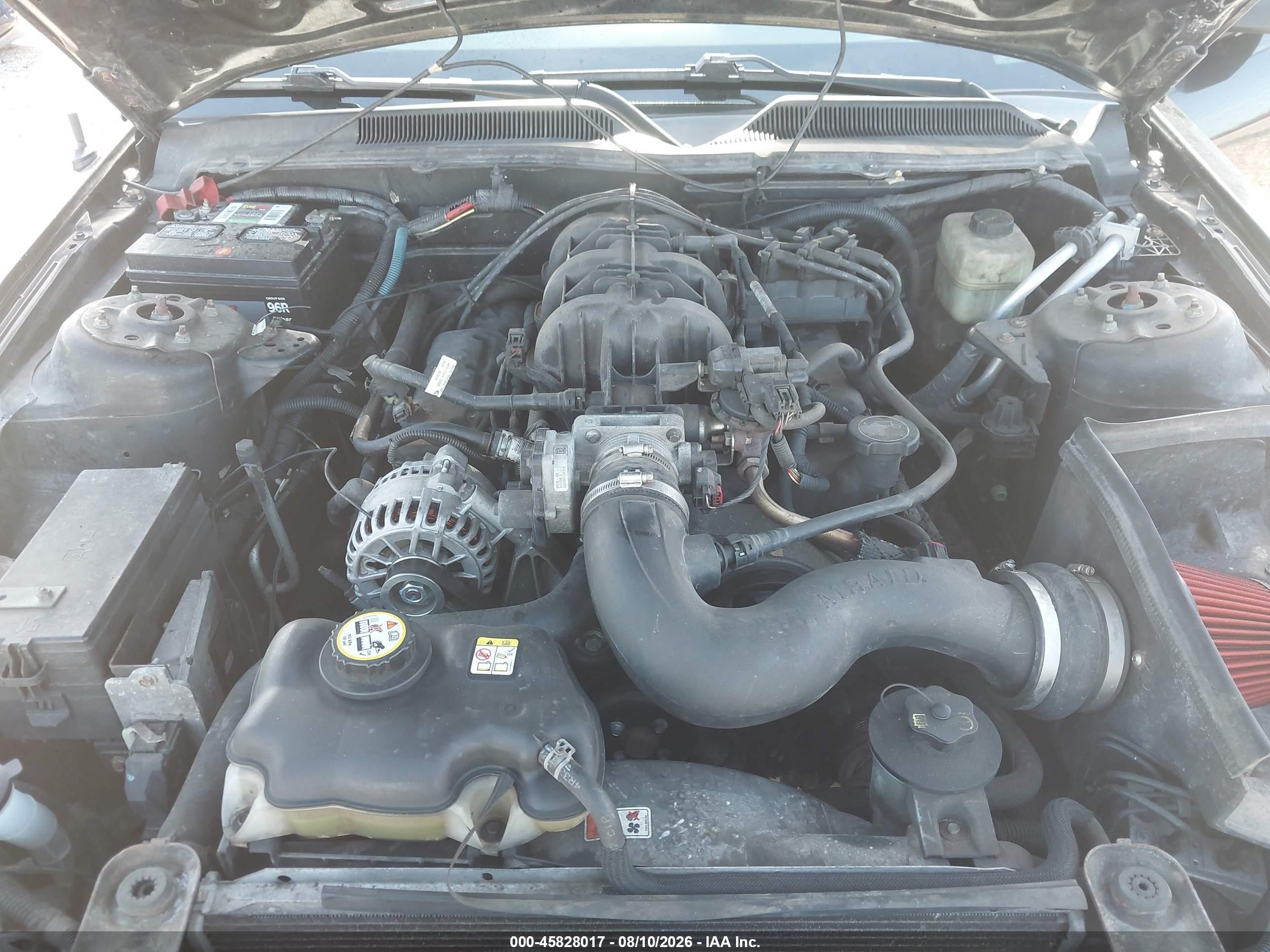 2006 Ford Mustang V6 Black vin: 1ZVHT84N565256268