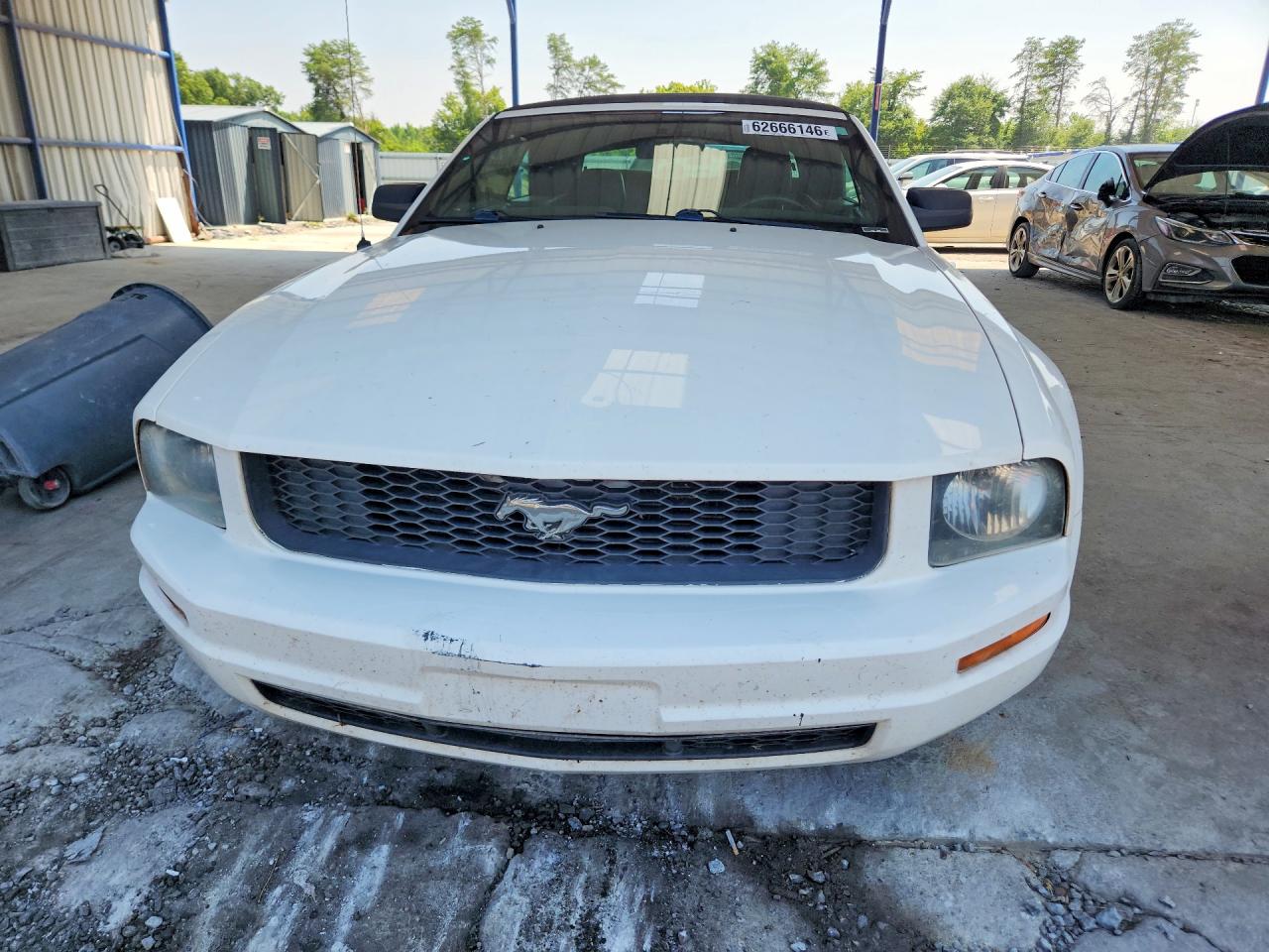2008 Ford Mustang White vin: 1ZVHT84N585178884