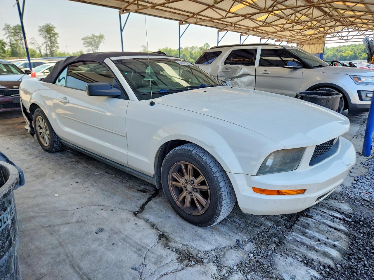 2008 Ford Mustang White vin: 1ZVHT84N585178884