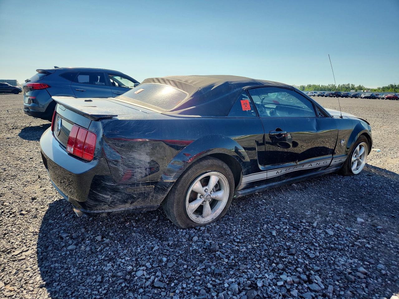2009 Ford Mustang Черный vin: 1ZVHT84N595107377