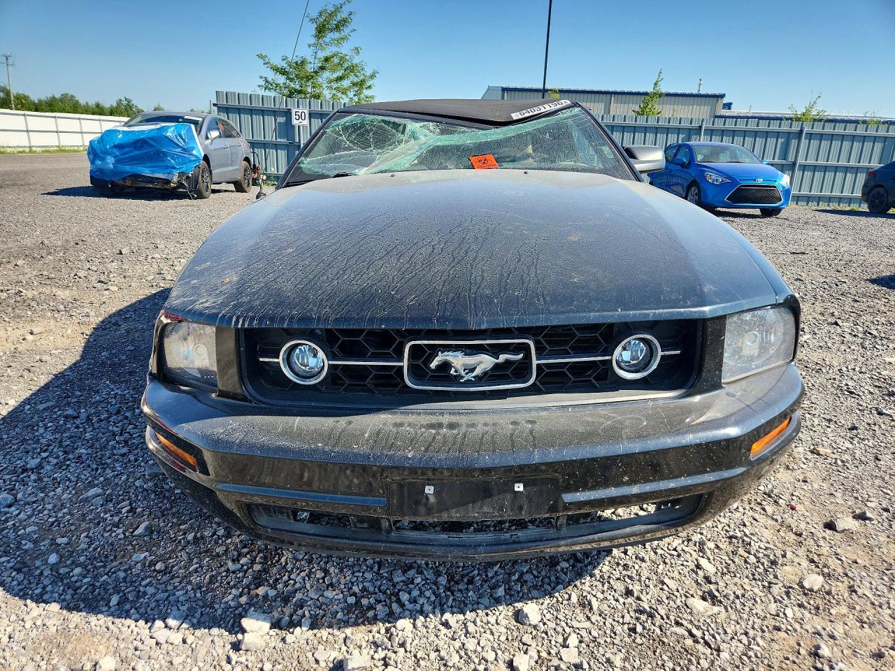 2009 Ford Mustang Черный vin: 1ZVHT84N595107377