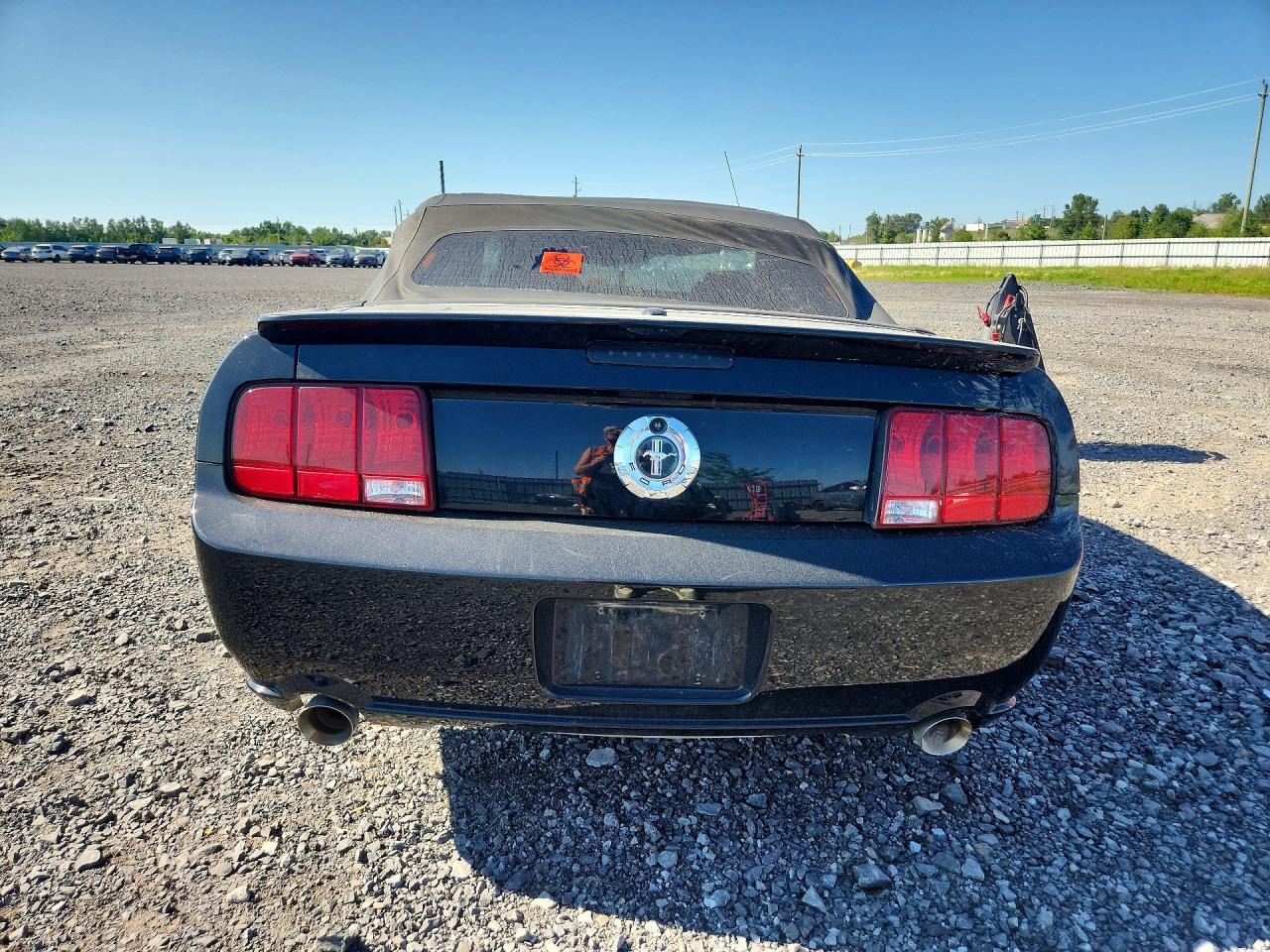 2009 Ford Mustang Черный vin: 1ZVHT84N595107377