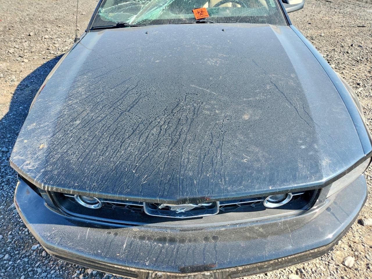 2009 Ford Mustang Черный vin: 1ZVHT84N595107377