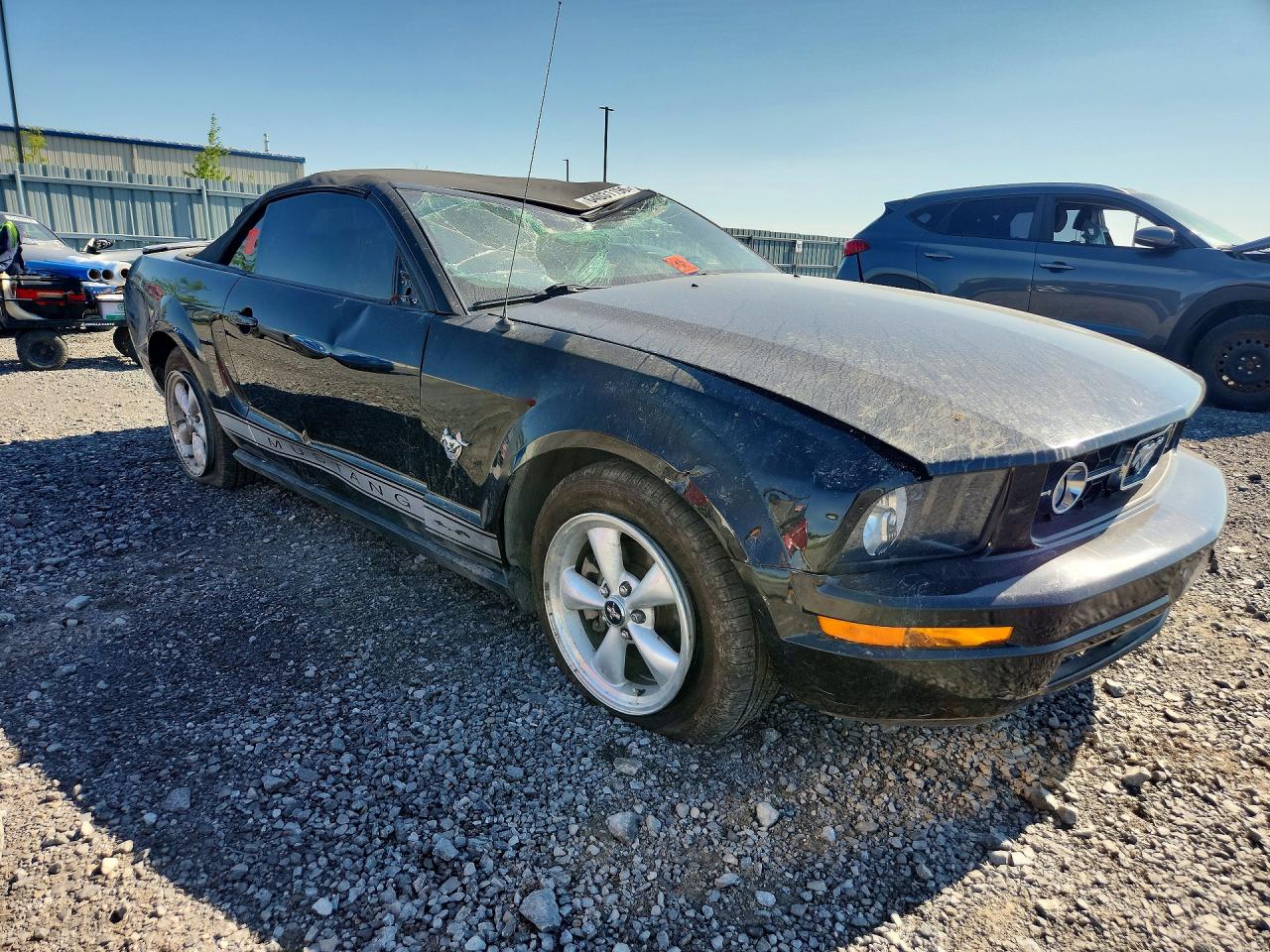 2009 Ford Mustang Черный vin: 1ZVHT84N595107377