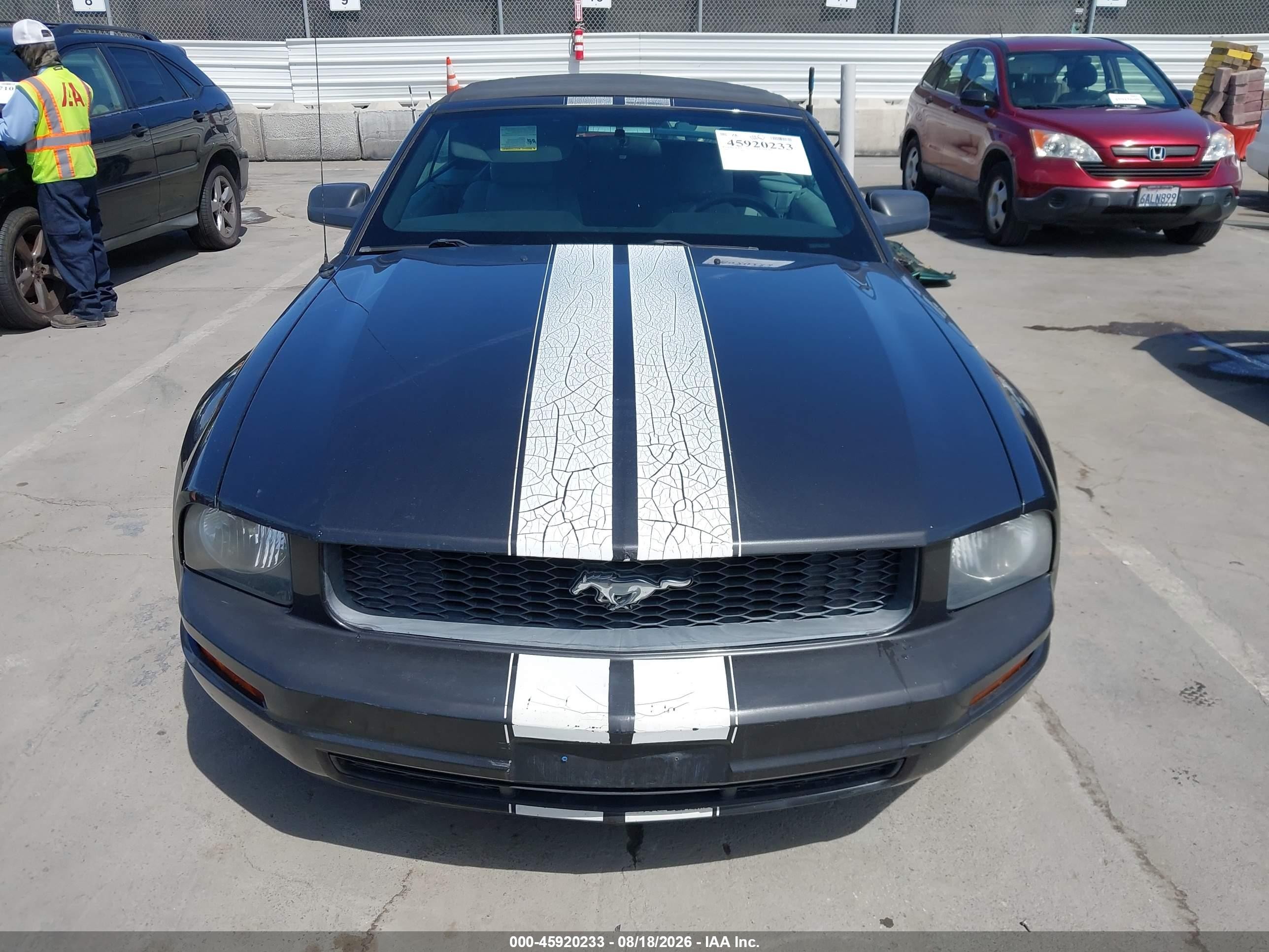 2009 Ford Mustang V6/v6 Premium Gray vin: 1ZVHT84N595108223