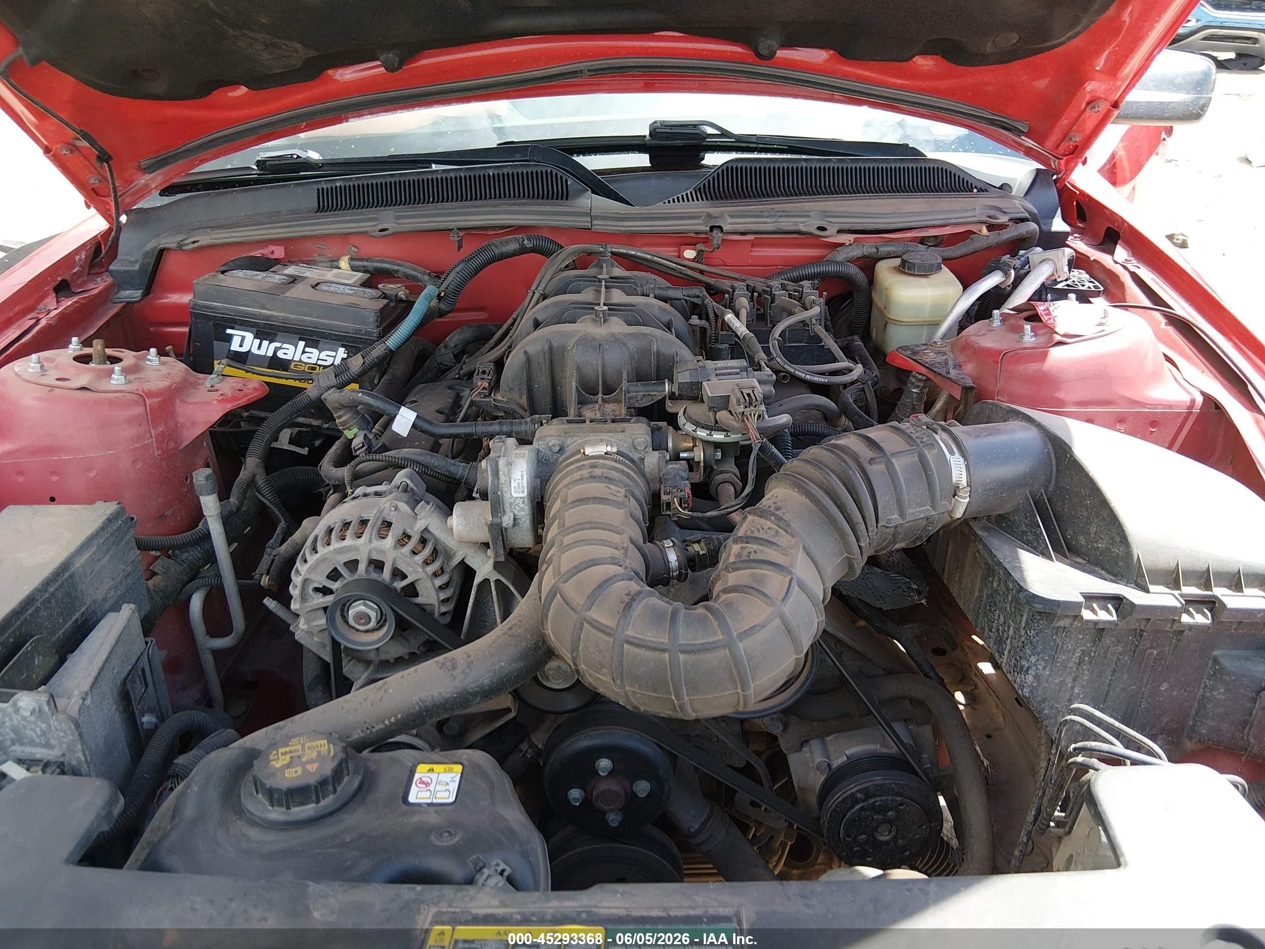 2006 Ford Mustang V6 Red vin: 1ZVHT84N665144675