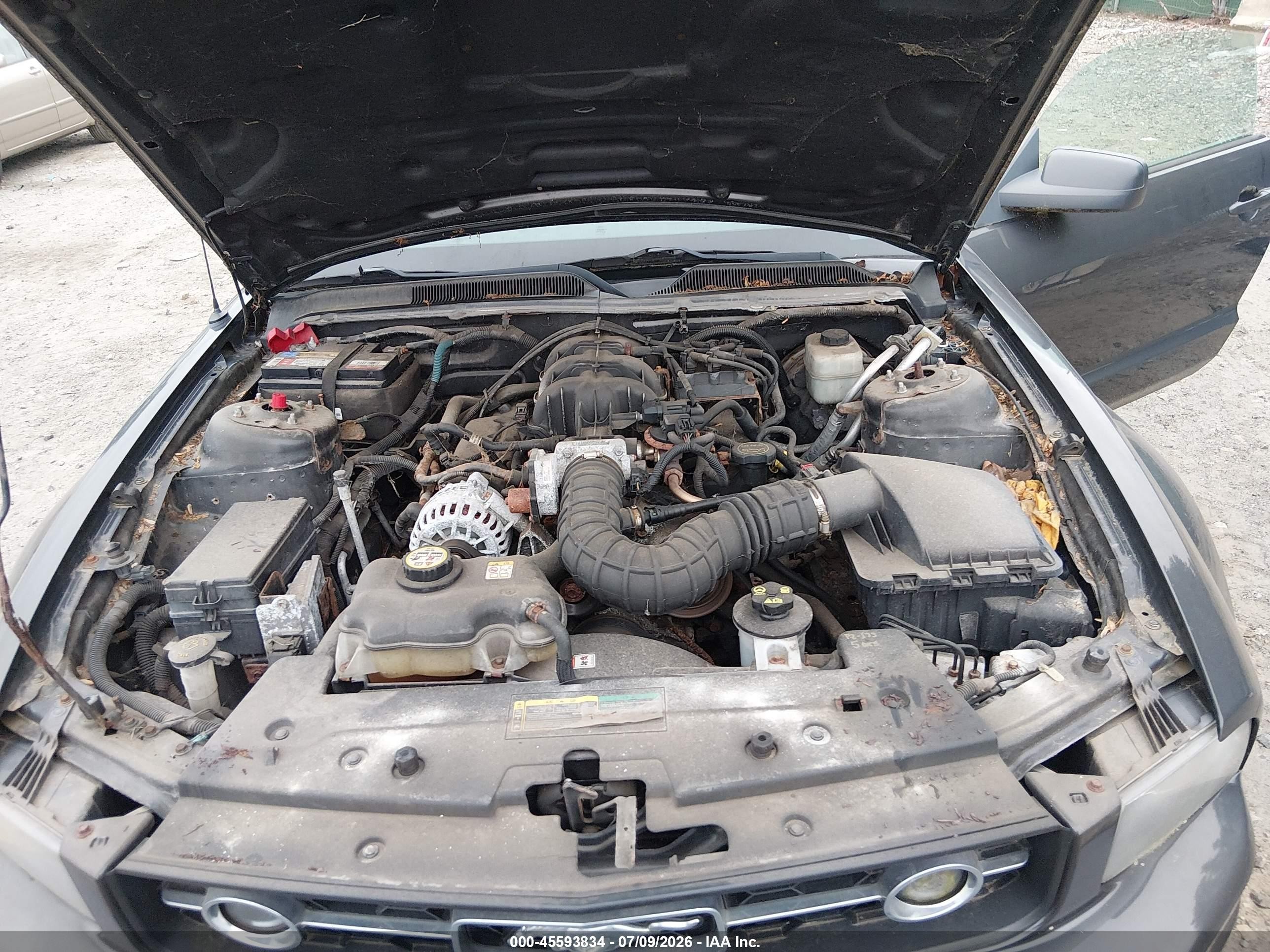 2007 Ford Mustang V6 Deluxe/v6 Premium Gray vin: 1ZVHT84N675364769