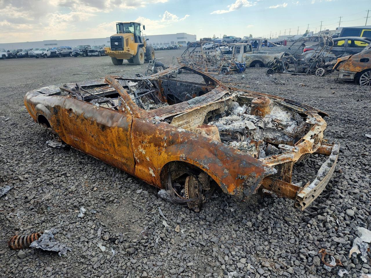2008 Ford Mustang Burn vin: 1ZVHT84N685127104