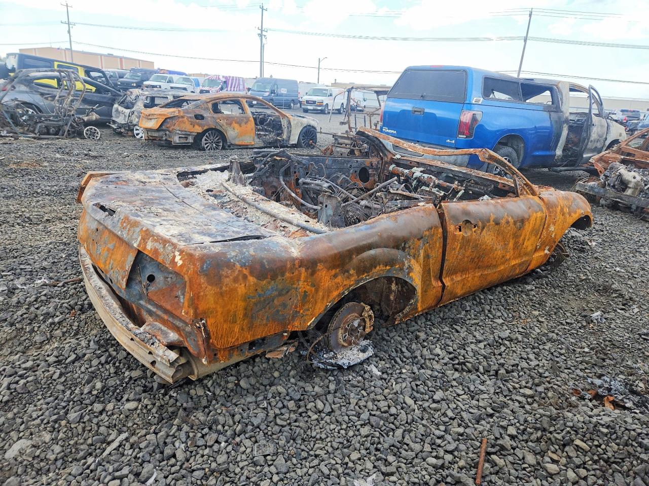 2008 Ford Mustang Burn vin: 1ZVHT84N685127104