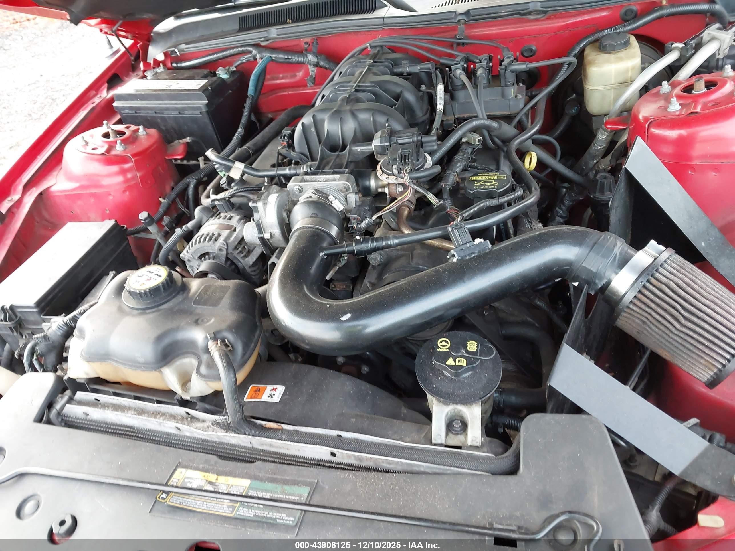 2008 Ford Mustang V6 Deluxe/v6 Premium Красный vin: 1ZVHT84N685188369