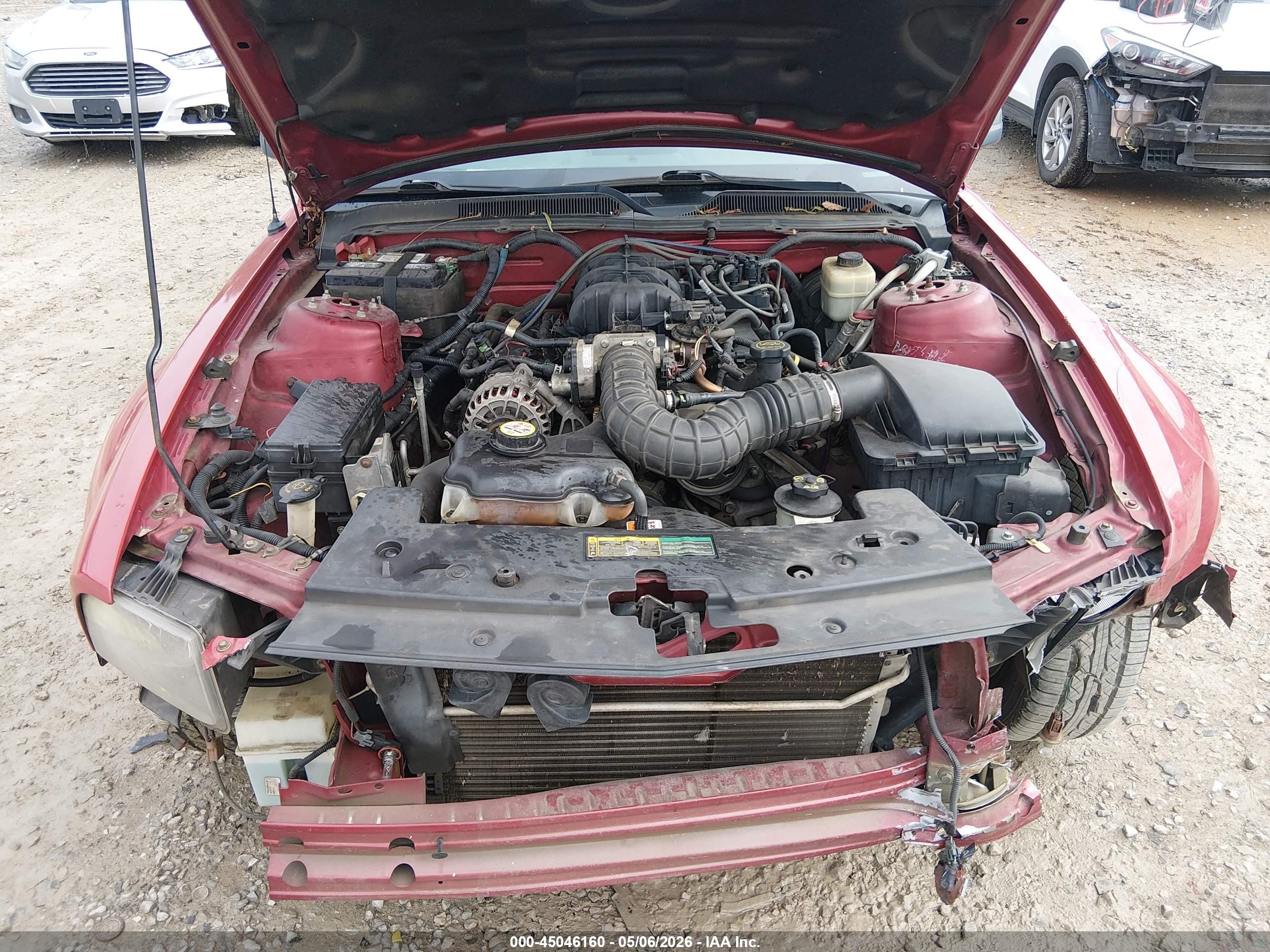 2007 Ford Mustang V6 Deluxe/v6 Premium Red vin: 1ZVHT84N775350654