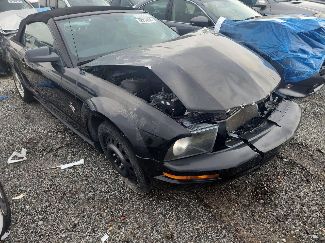 2007 Ford Mustang Black vin: 1ZVHT84N775355921