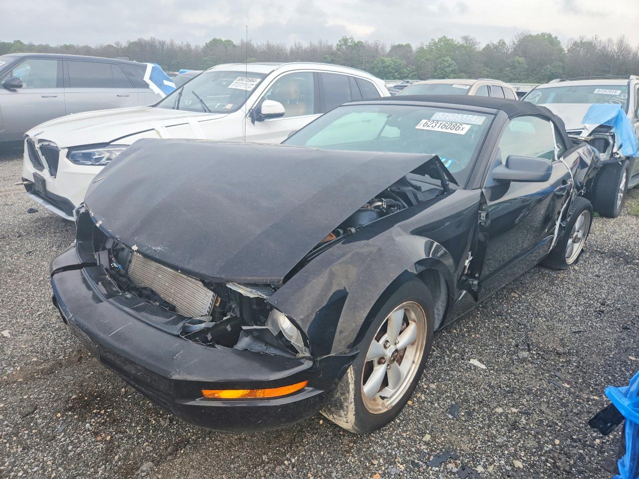 2007 Ford Mustang Черный vin: 1ZVHT84N775355921