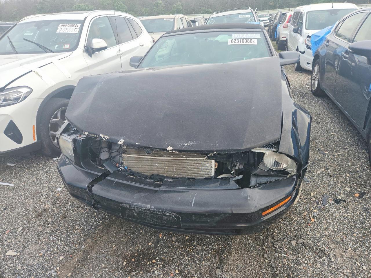 2007 Ford Mustang Black vin: 1ZVHT84N775355921