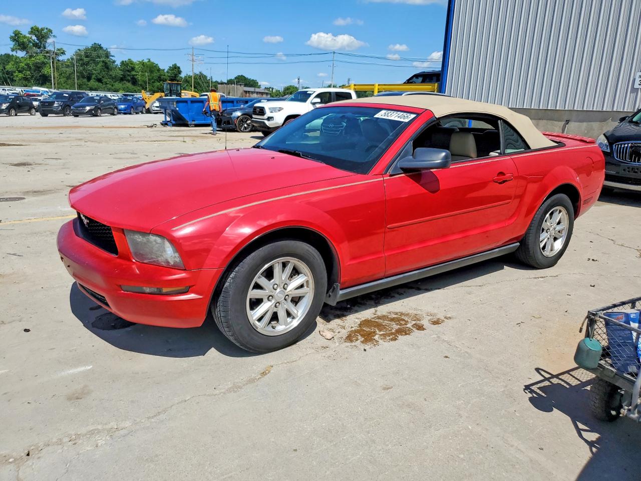 2008 Ford Mustang Красный vin: 1ZVHT84N785155347