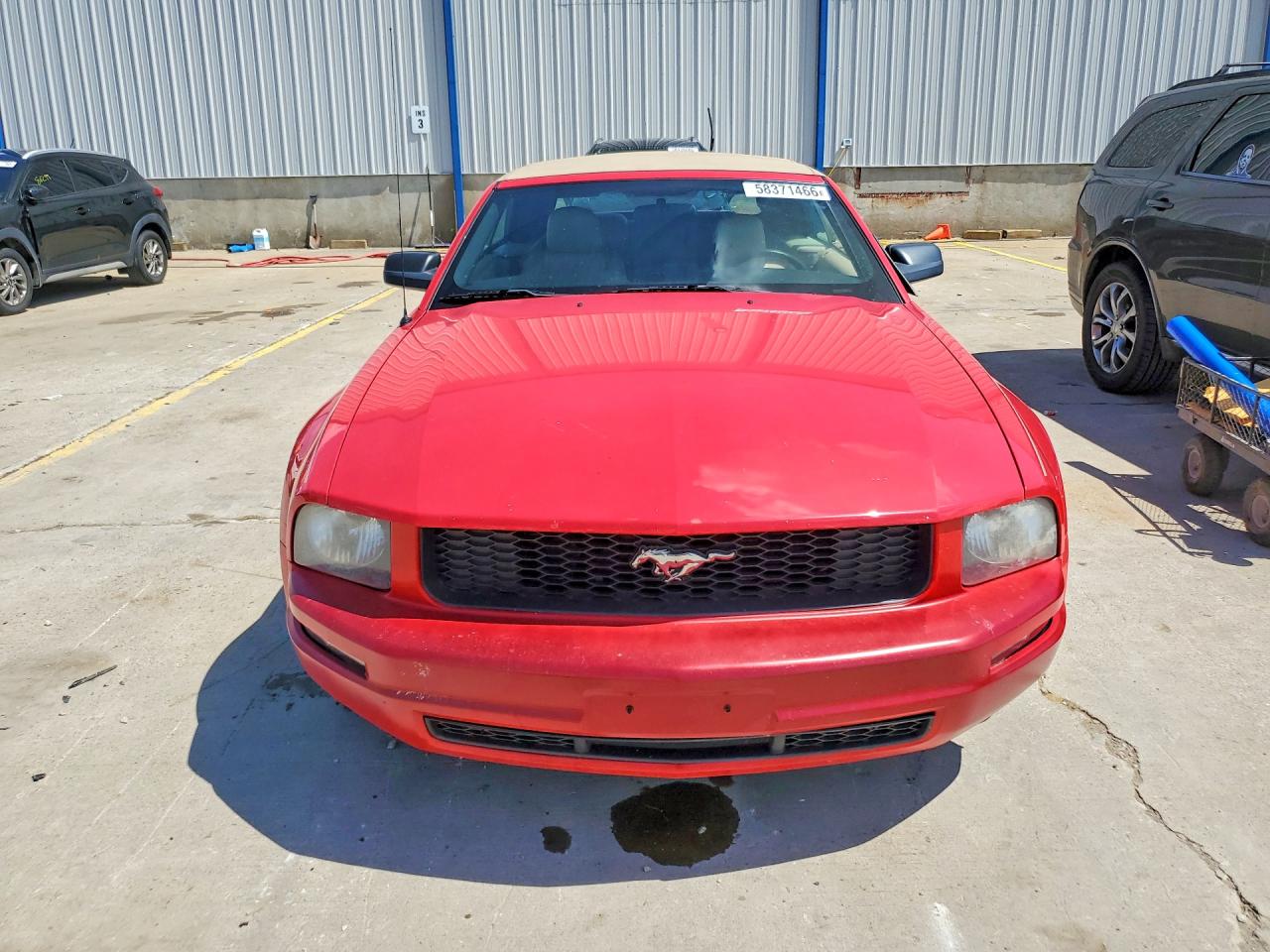 2008 Ford Mustang Красный vin: 1ZVHT84N785155347