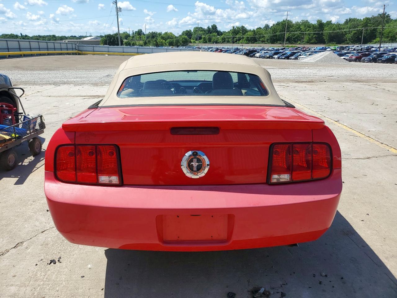 2008 Ford Mustang Красный vin: 1ZVHT84N785155347