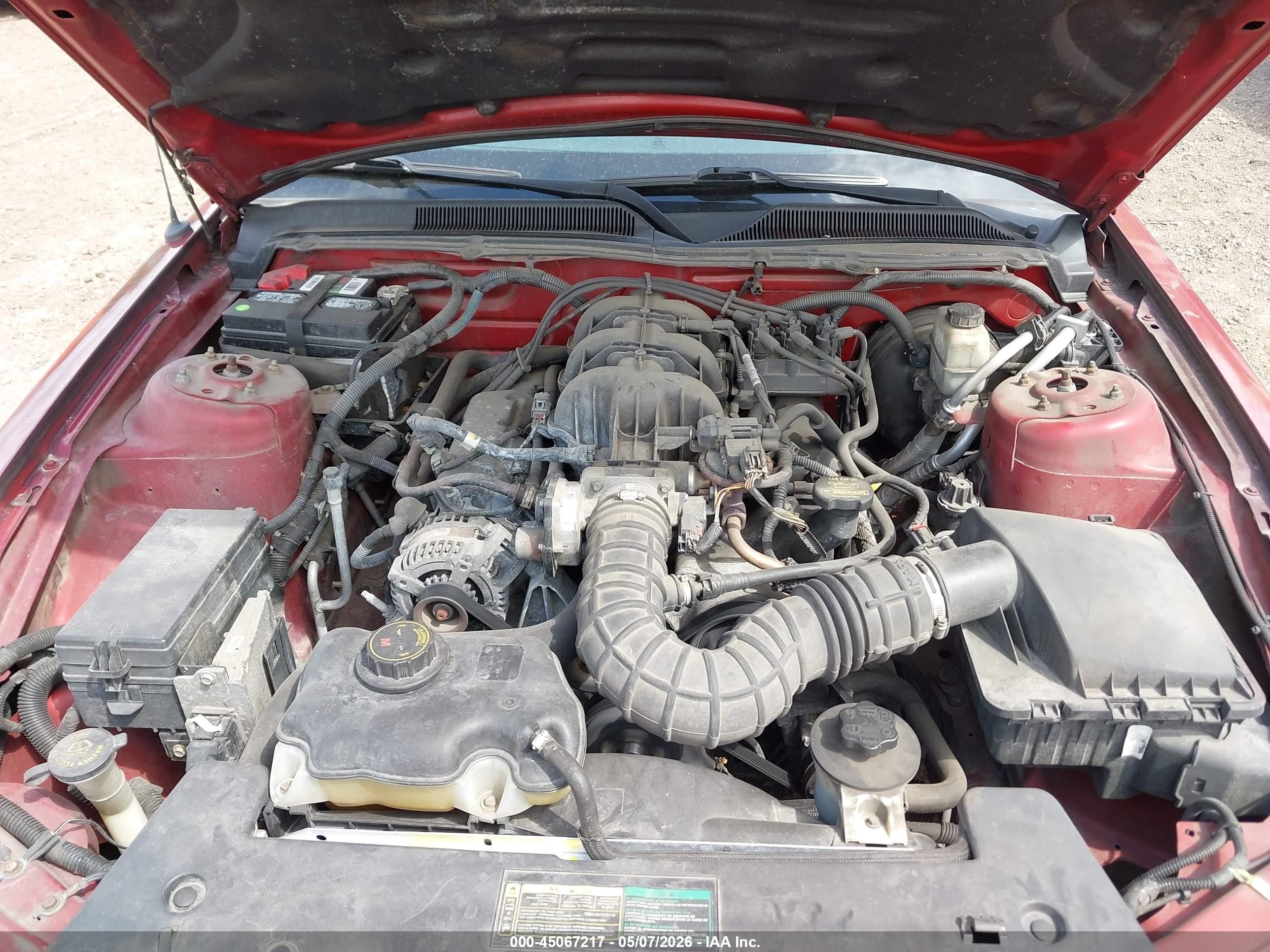 2009 Ford Mustang V6/v6 Premium Red vin: 1ZVHT84N795133995