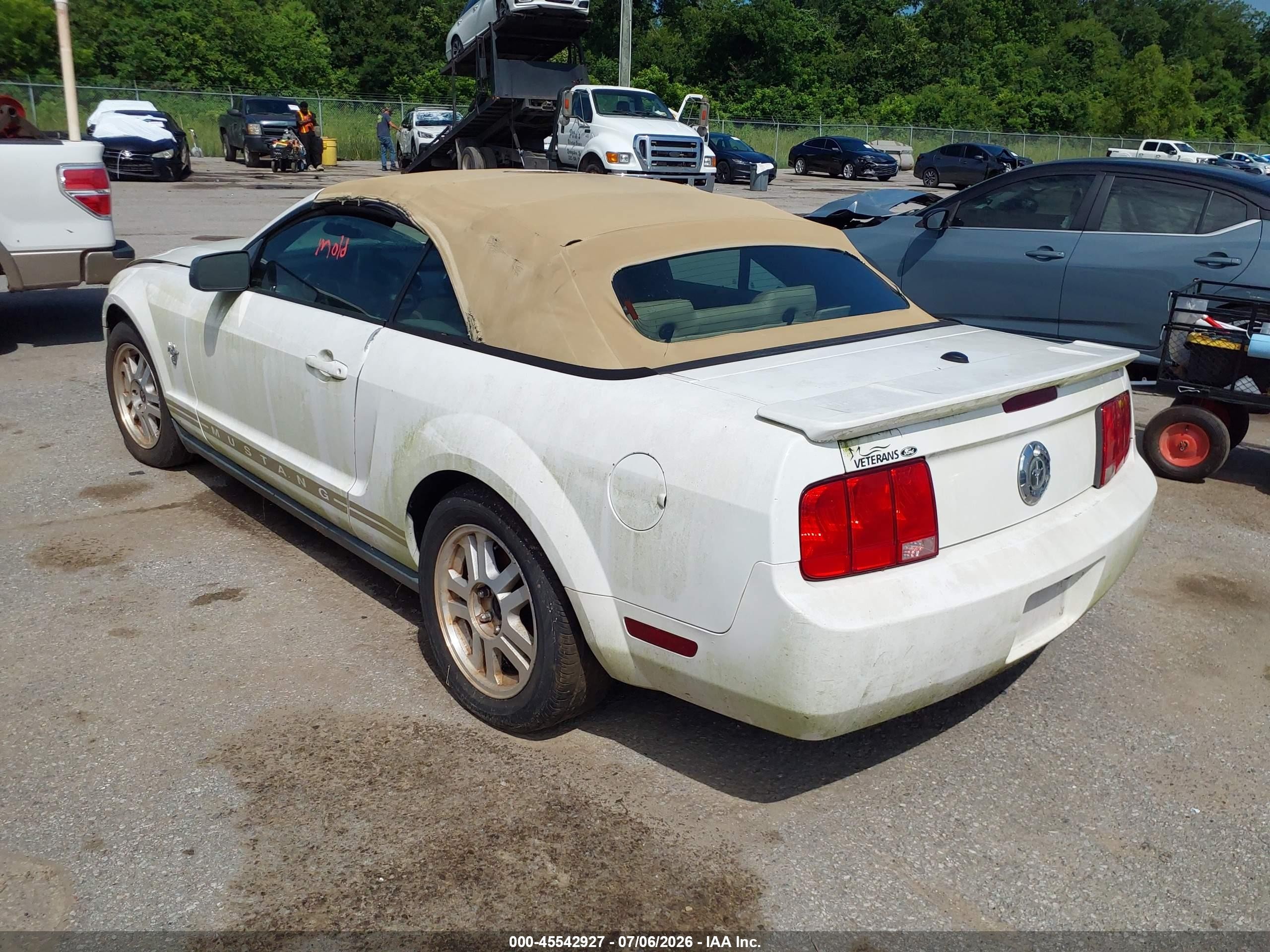 2009 Ford Mustang V6/v6 Premium White vin: 1ZVHT84N795144916