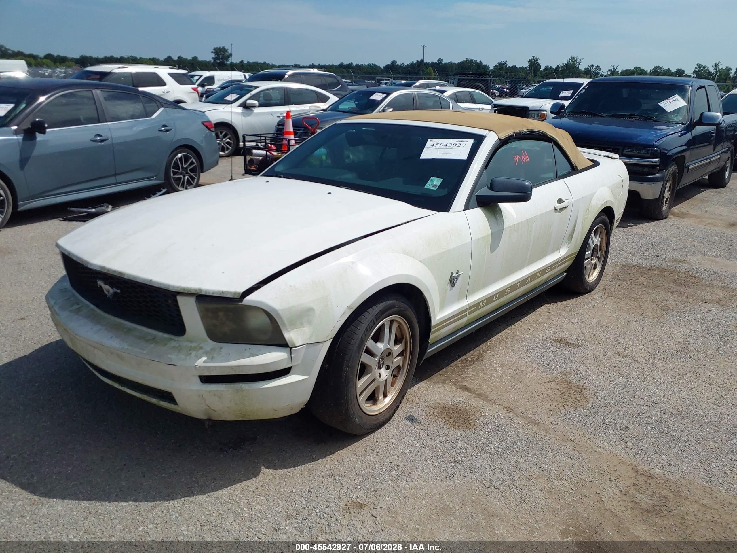 2009 Ford Mustang V6/v6 Premium White vin: 1ZVHT84N795144916