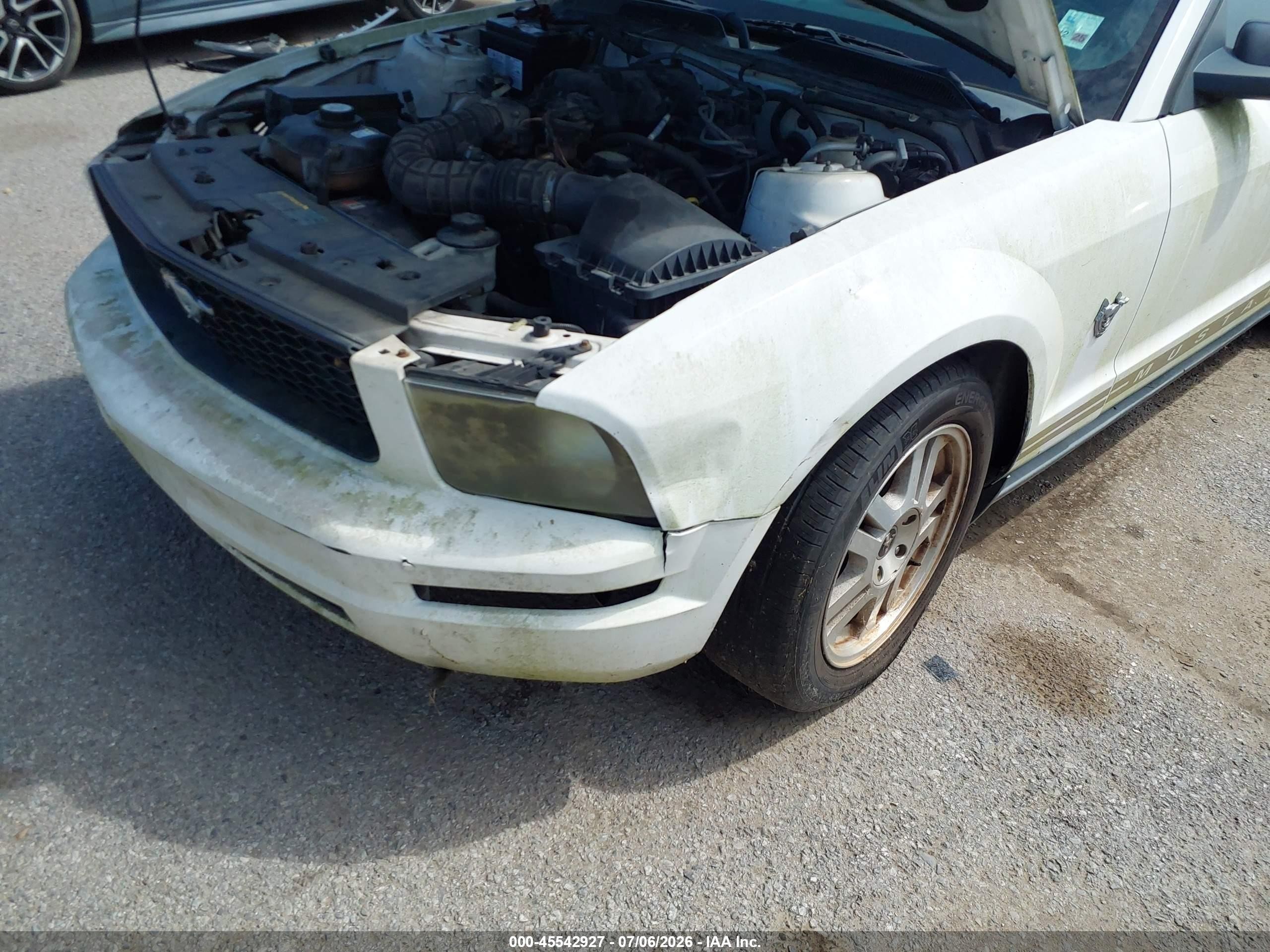 2009 Ford Mustang V6/v6 Premium White vin: 1ZVHT84N795144916