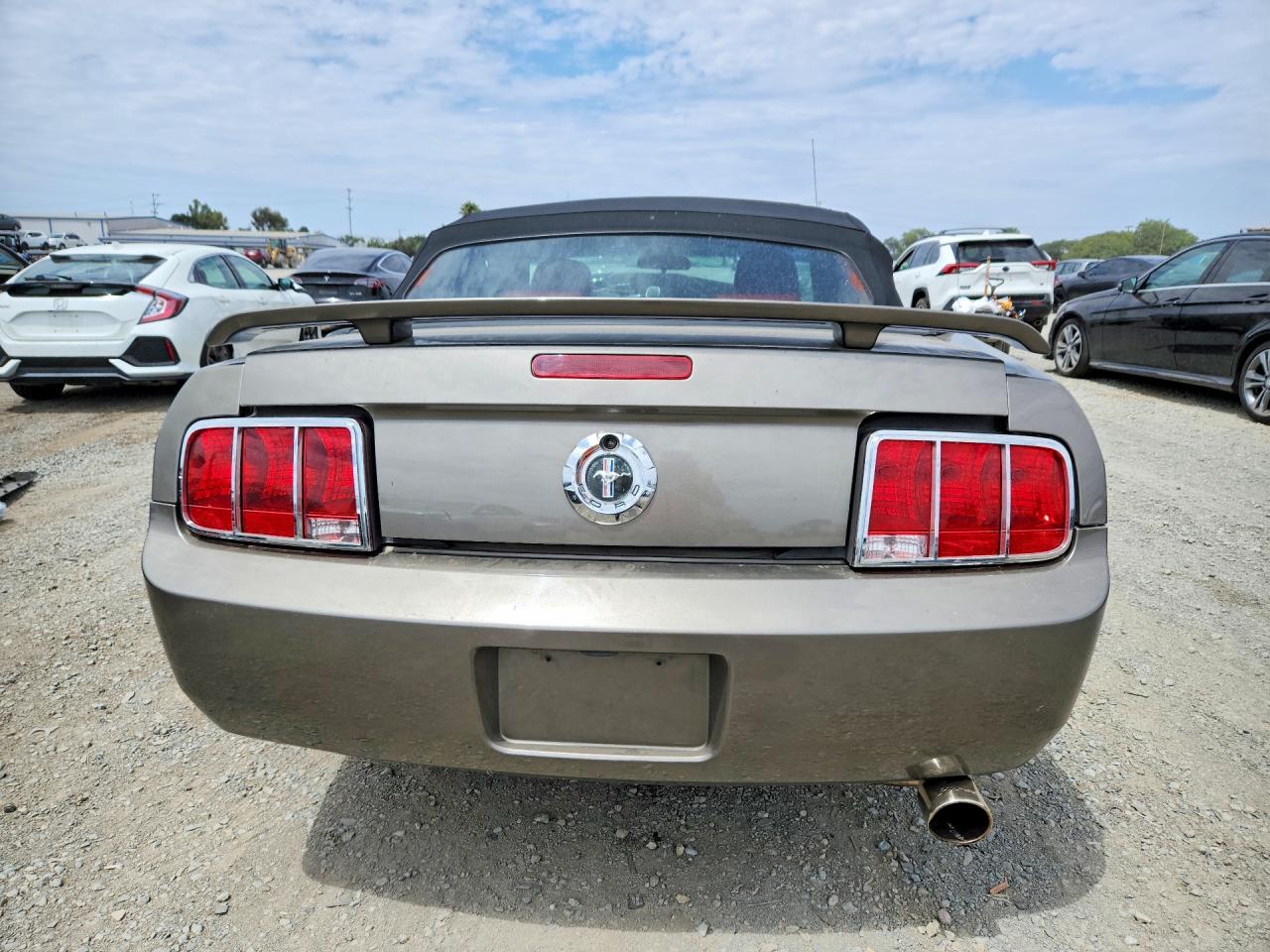 2005 Ford Mustang Tan vin: 1ZVHT84N855256876