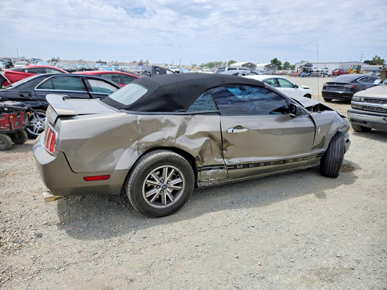 2005 Ford Mustang Tan vin: 1ZVHT84N855256876