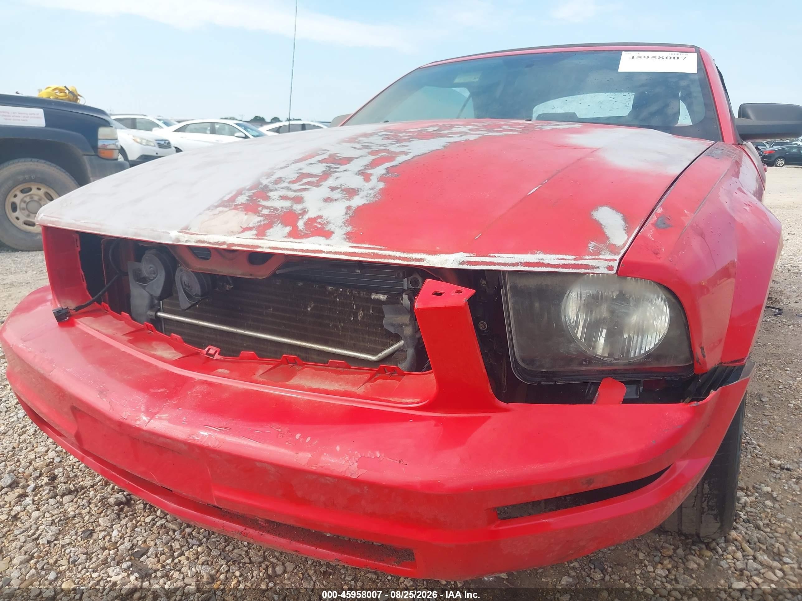 2006 Ford Mustang V6 Красный vin: 1ZVHT84N965228585
