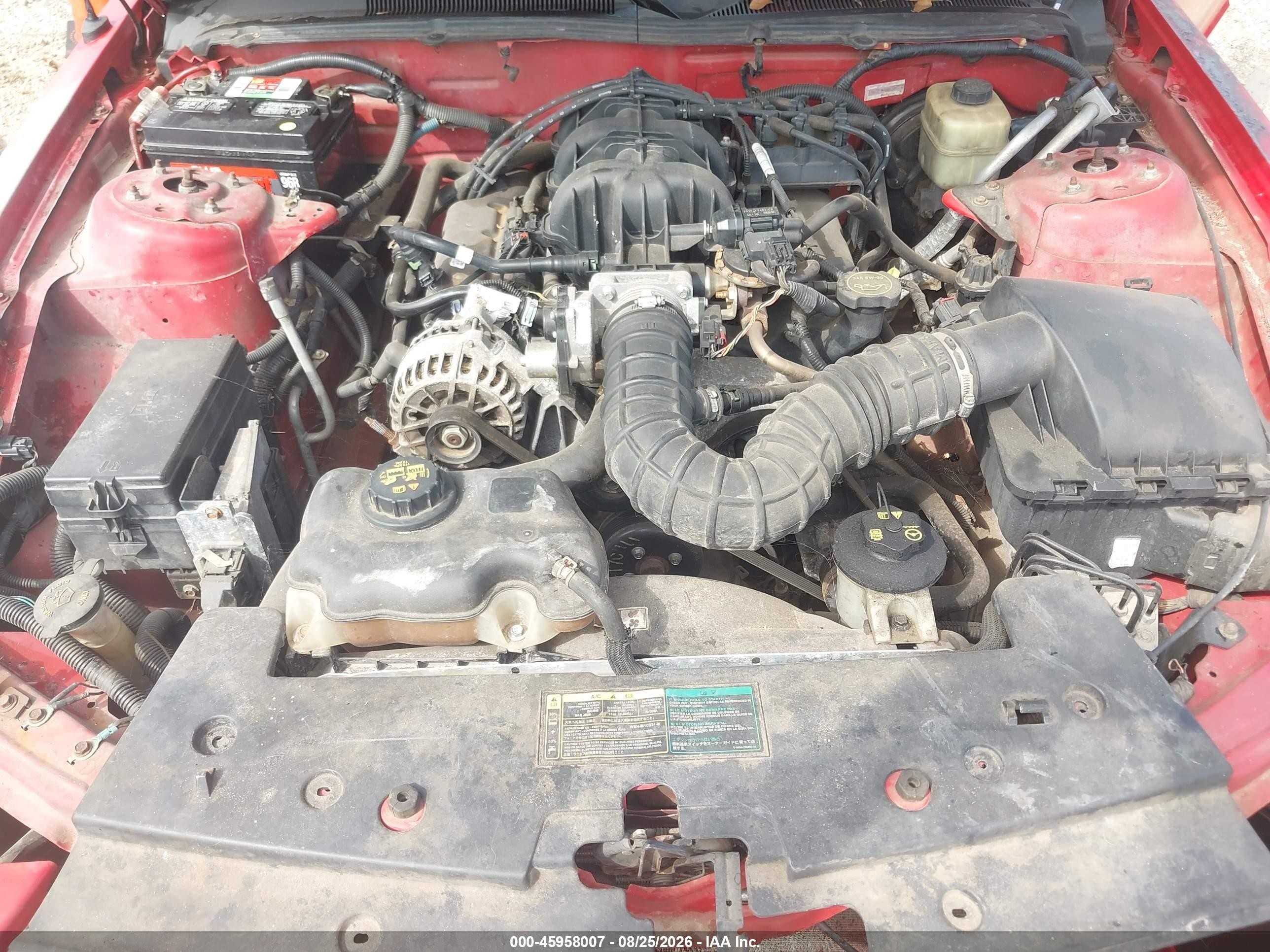 2006 Ford Mustang V6 Красный vin: 1ZVHT84N965228585